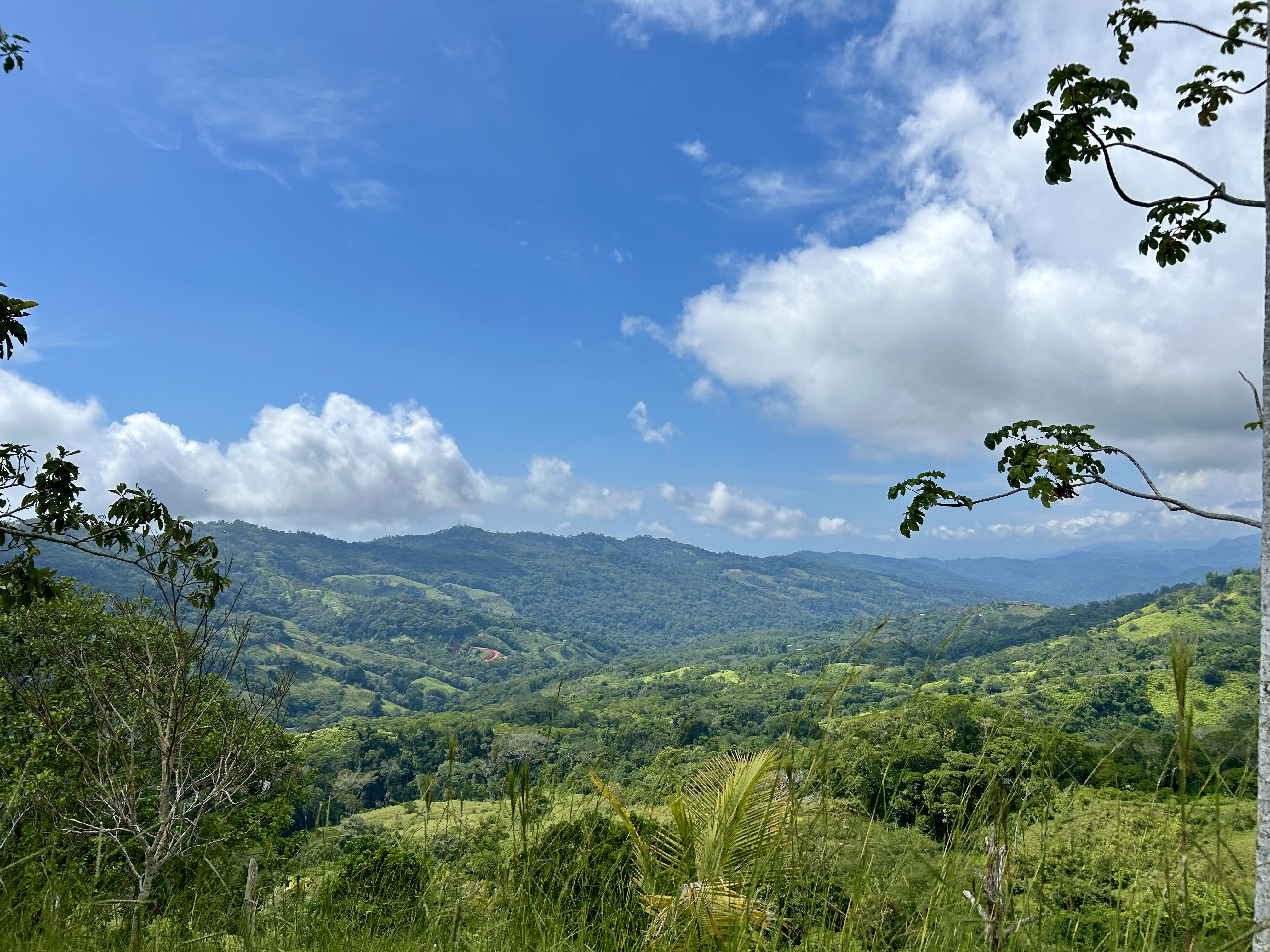 0 bed Land For Sale in Dominical, Puntarenas - thumb 3