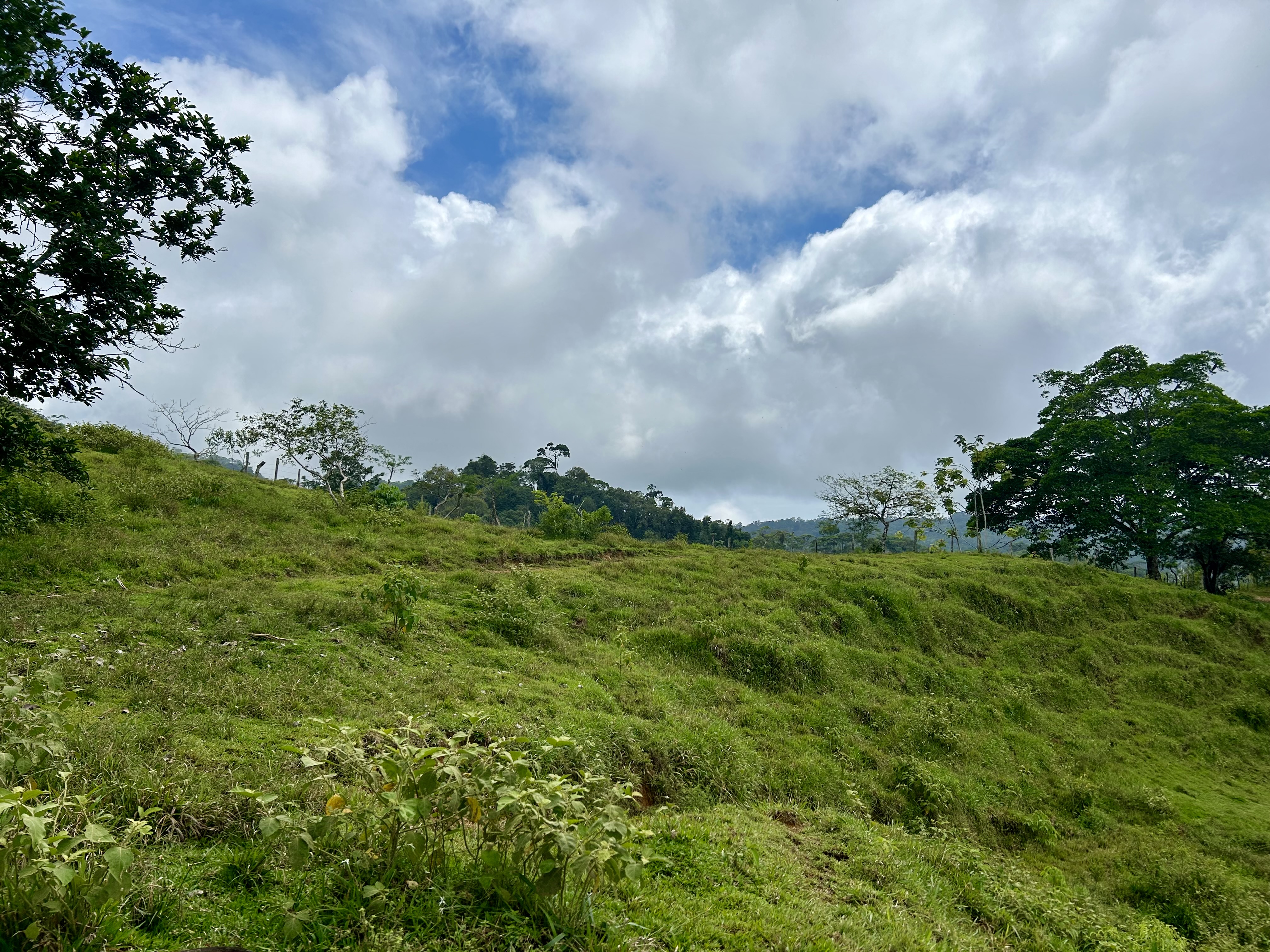0 bed Land For Sale in Dominical, Puntarenas - thumb 12