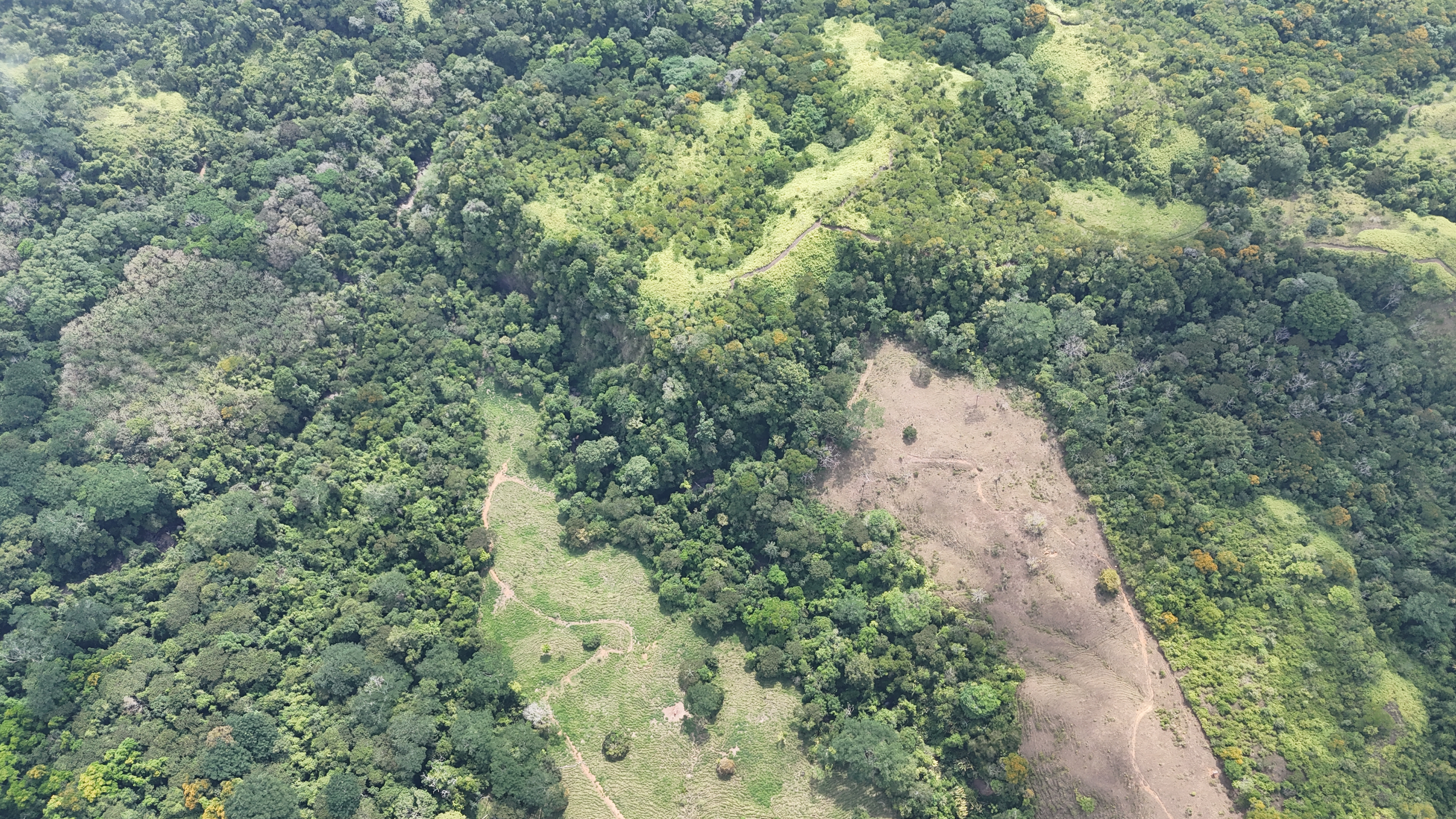 0 bed Land For Sale in Dominical, Puntarenas - thumb 21