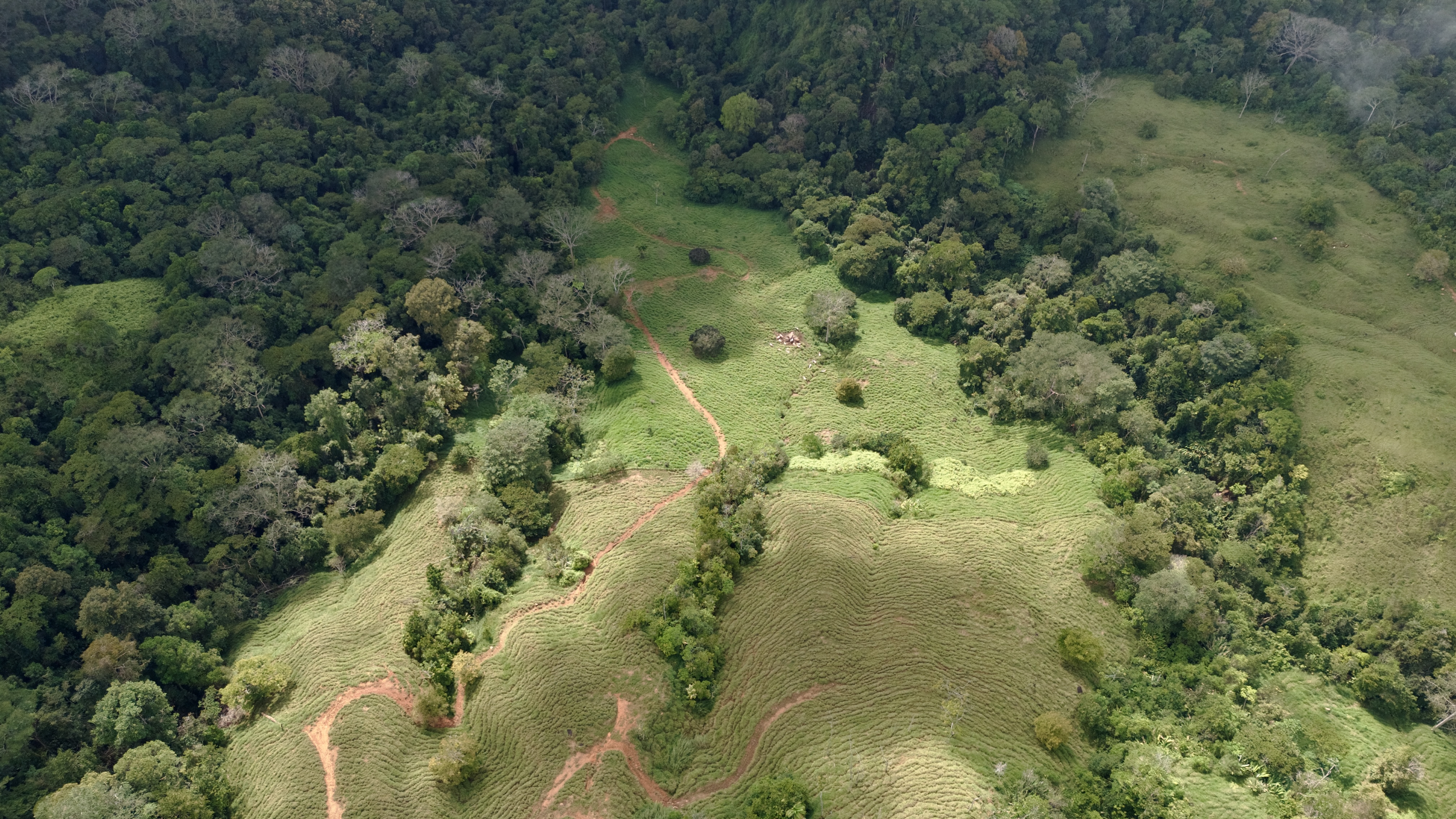 0 bed Land For Sale in Dominical, Puntarenas - thumb 6