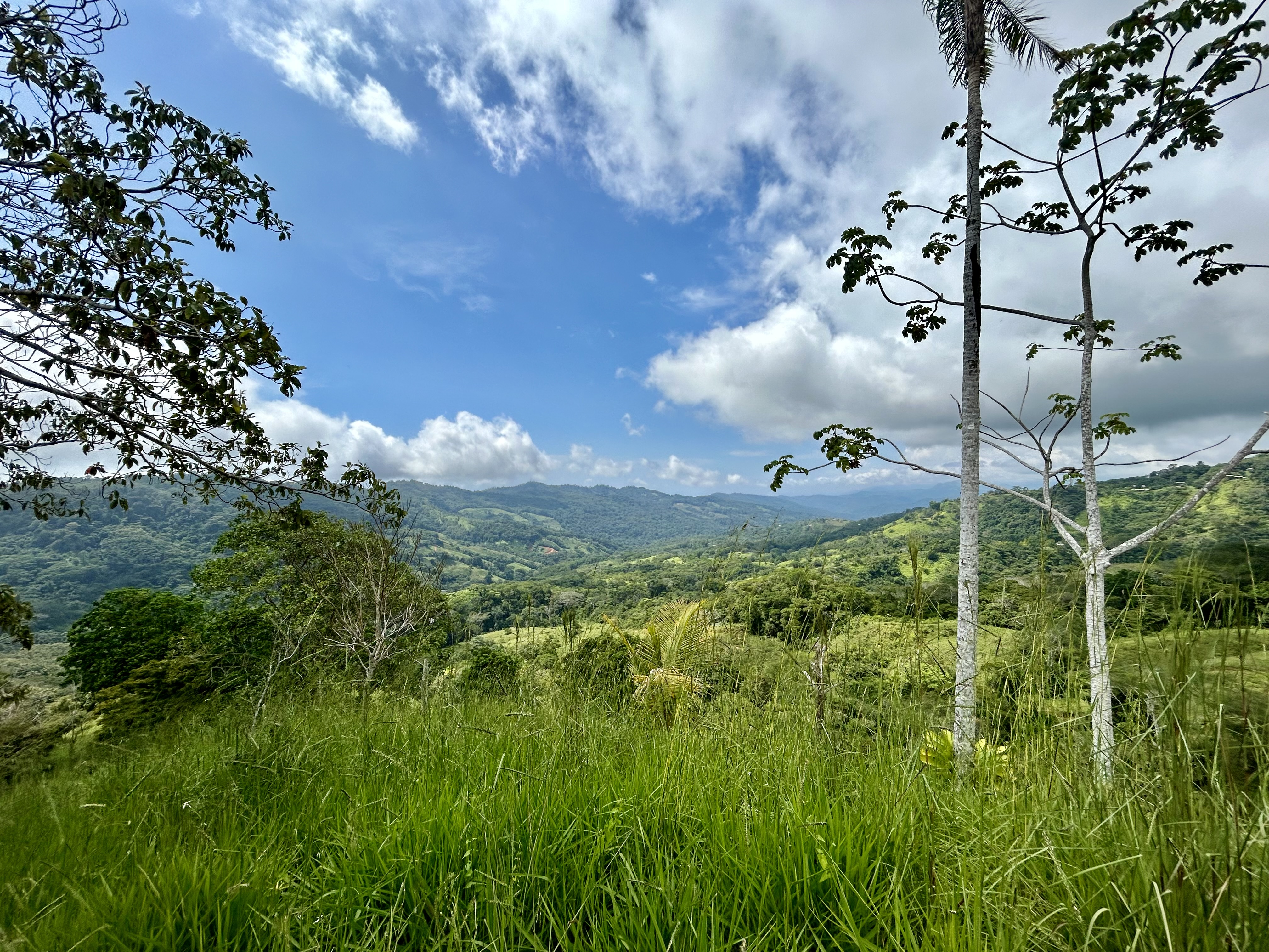 0 bed Land For Sale in Dominical, Puntarenas - thumb 16