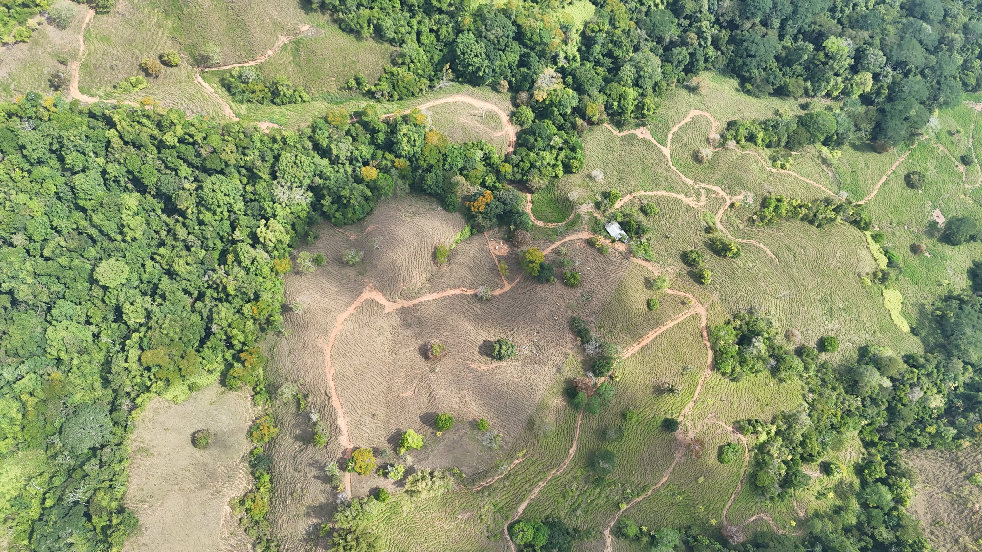 0 bed Land For Sale in Dominical, Puntarenas - thumb 20