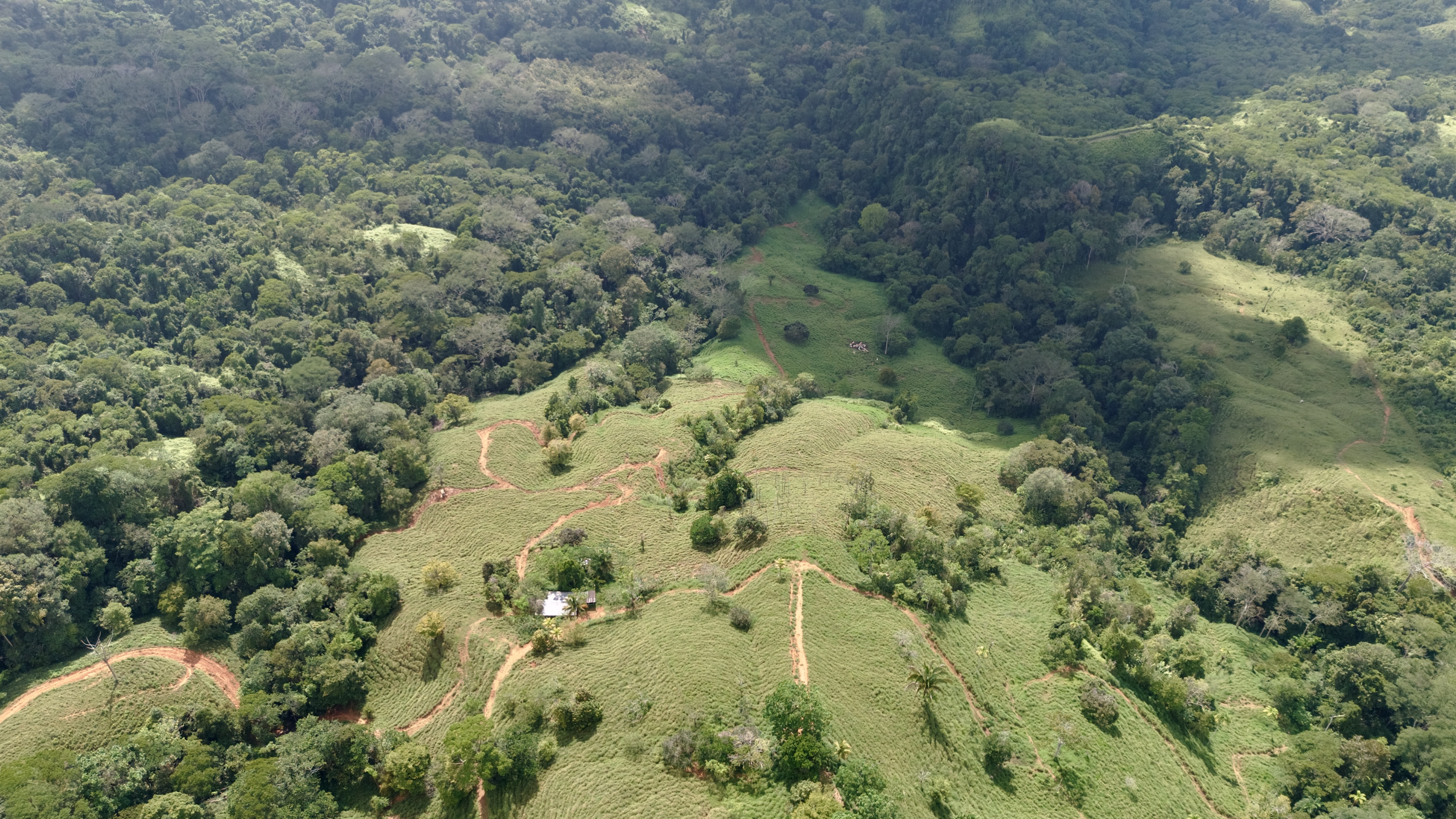 0 bed Land For Sale in Dominical, Puntarenas - thumb 1