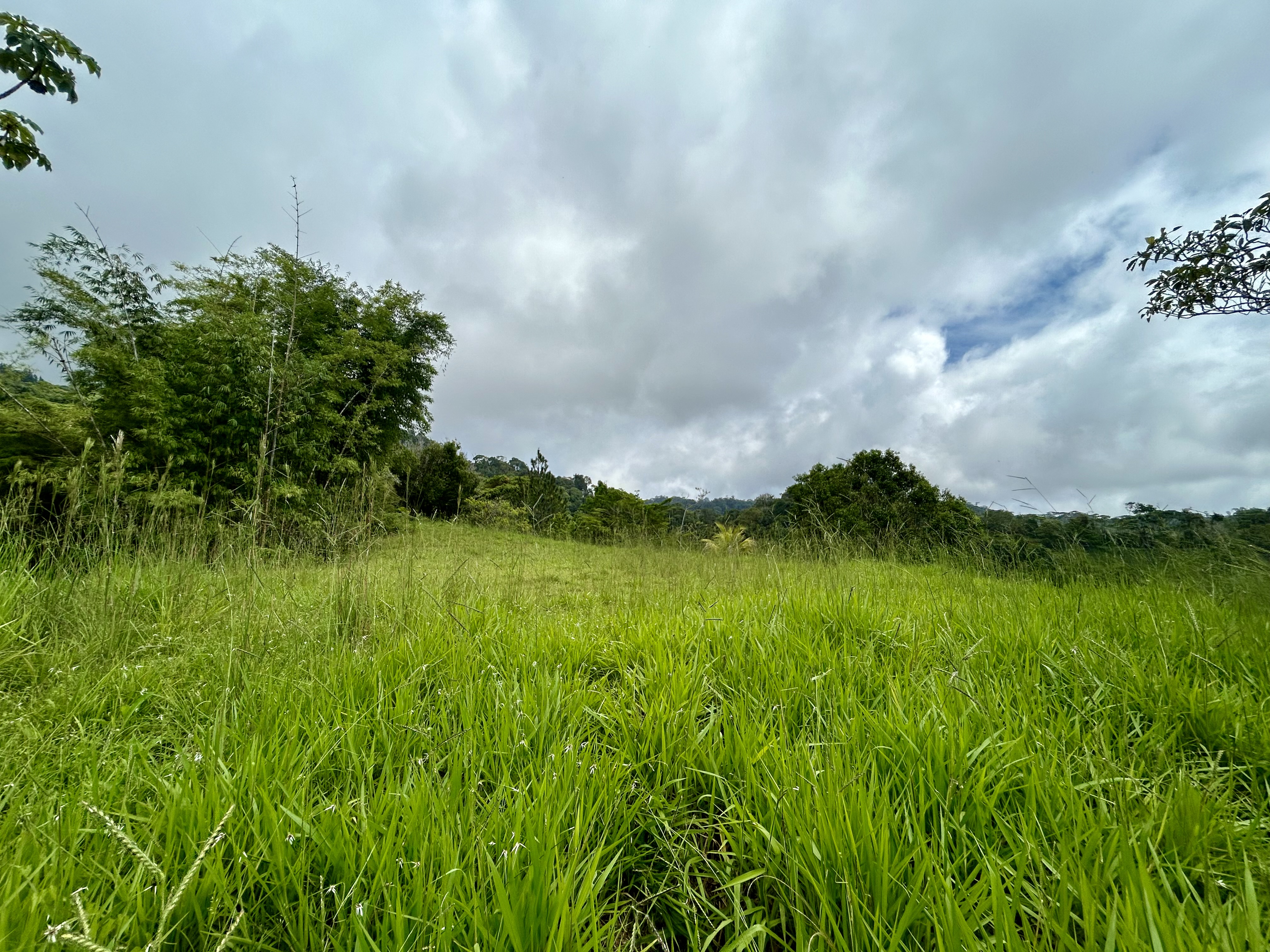 0 bed Land For Sale in Dominical, Puntarenas - thumb 17