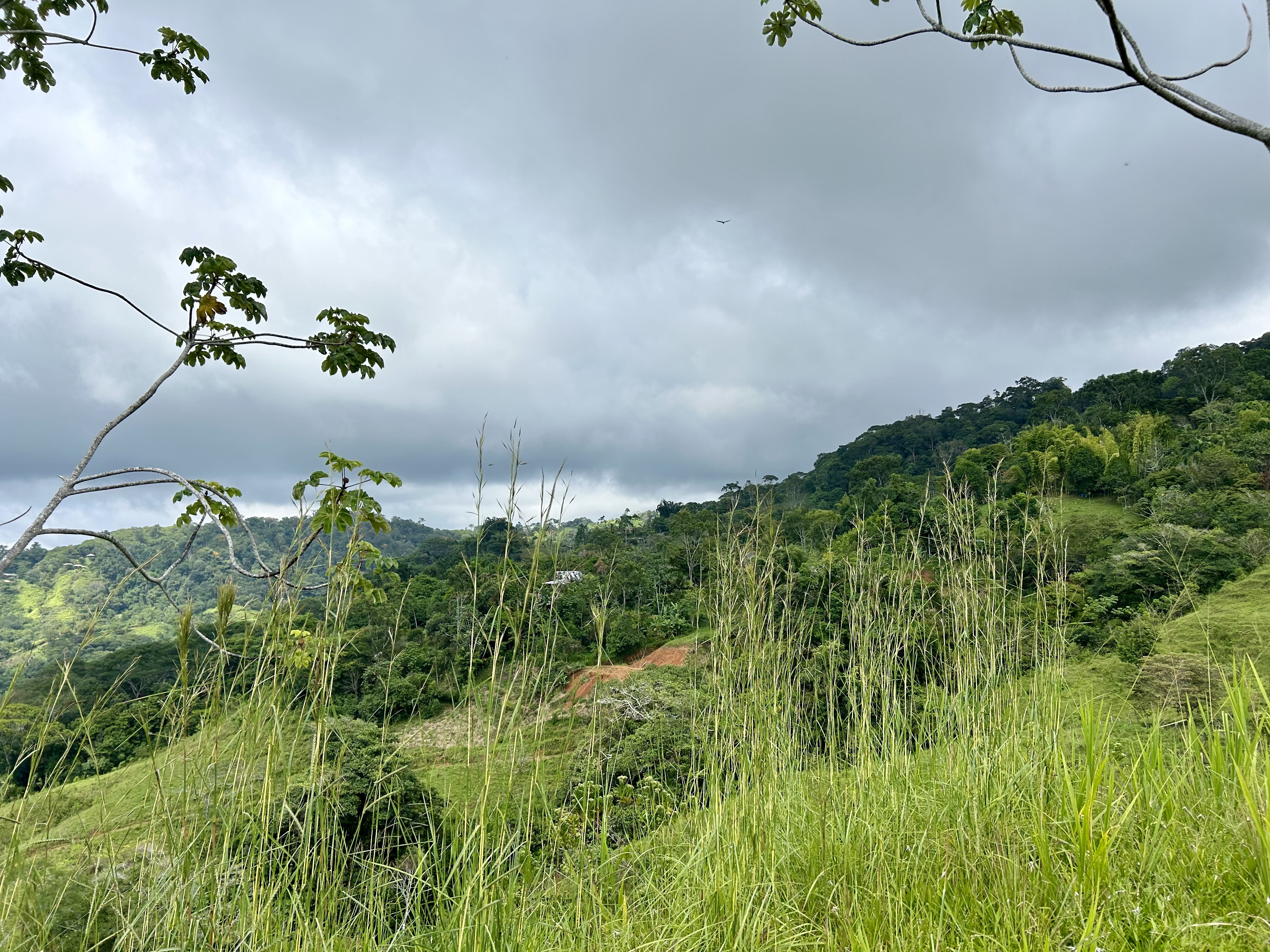 0 bed Land For Sale in Dominical, Puntarenas - thumb 15