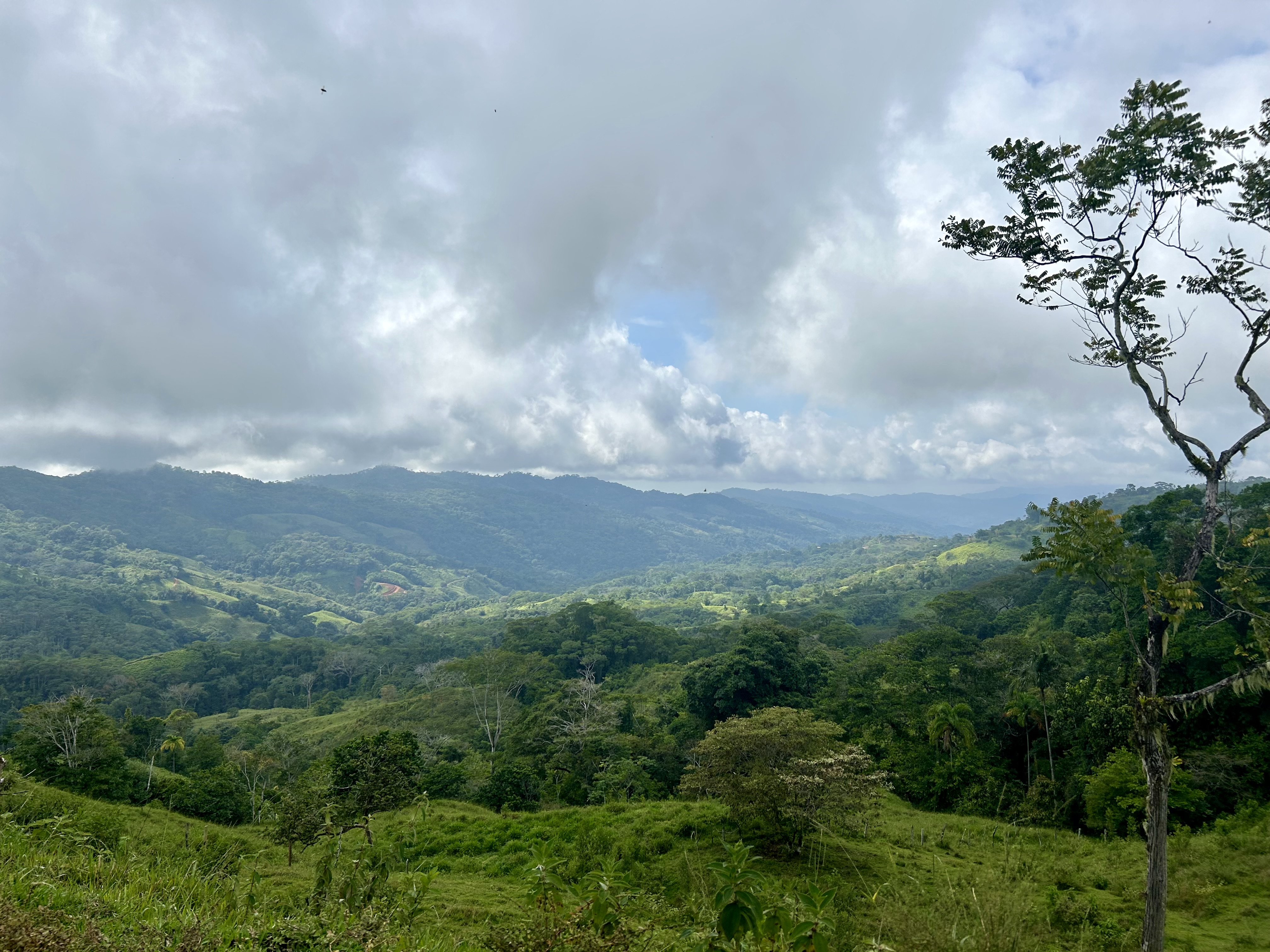 0 bed Land For Sale in Dominical, Puntarenas - thumb 10
