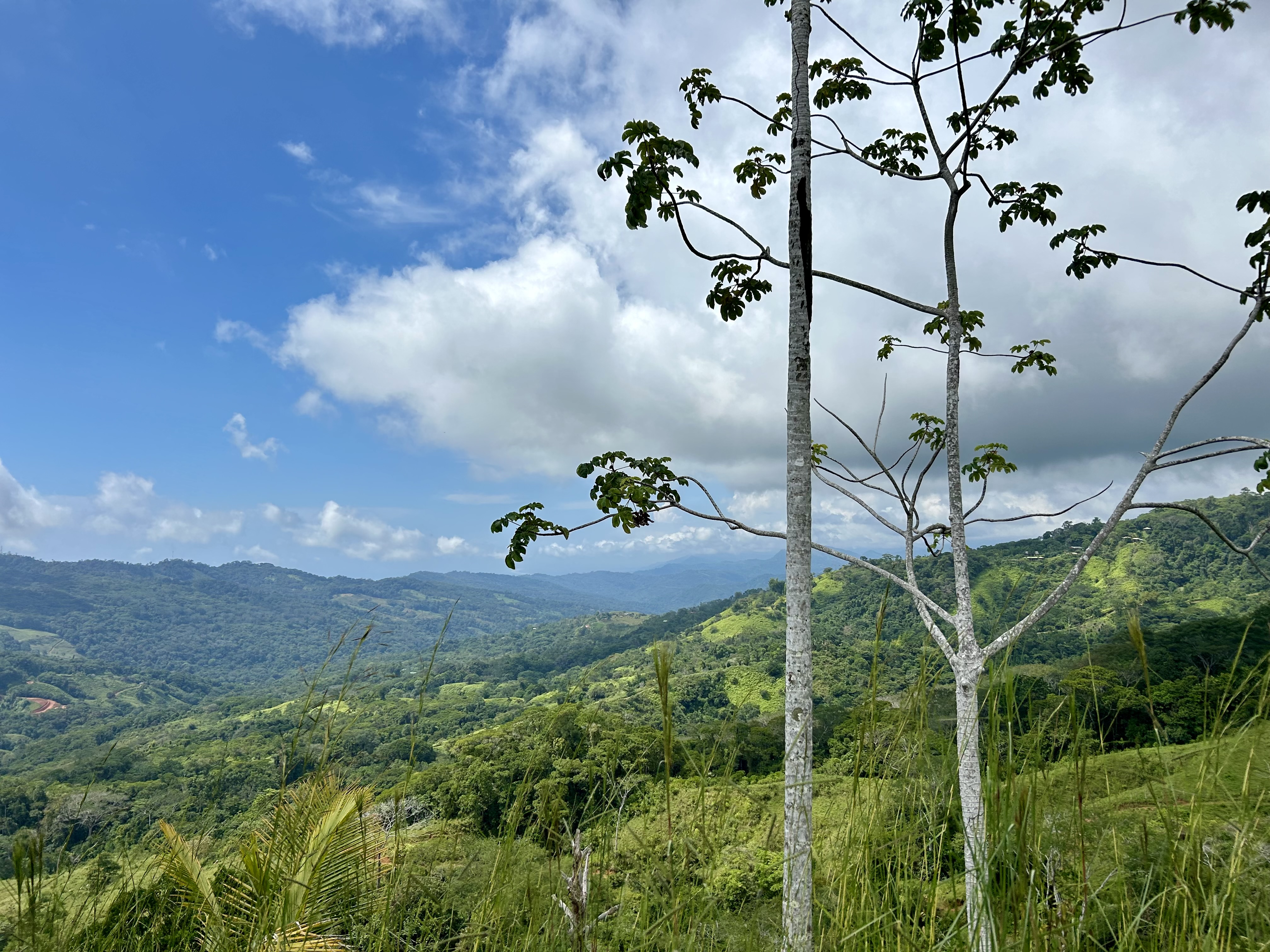 0 bed Land For Sale in Dominical, Puntarenas - thumb 4