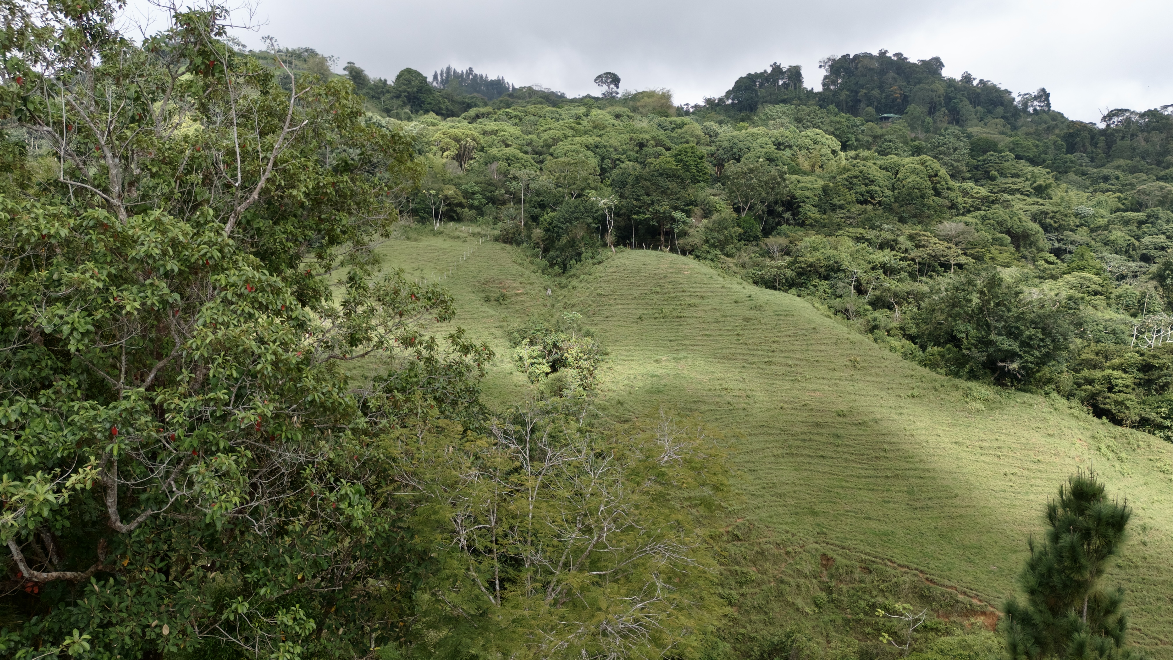0 bed Land For Sale in Dominical, Puntarenas - thumb 8