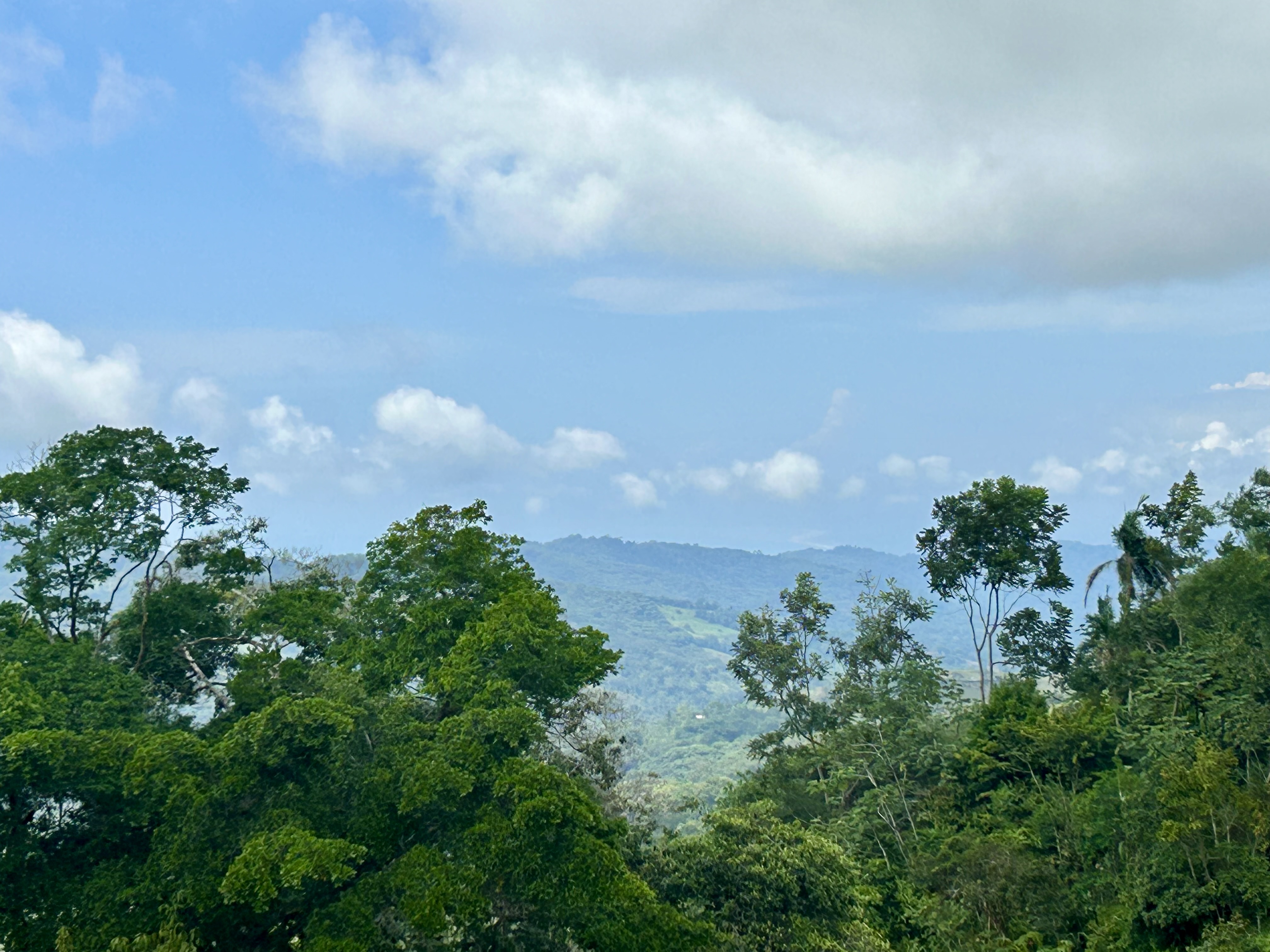 0 bed Land For Sale in Dominical, Puntarenas - thumb 13