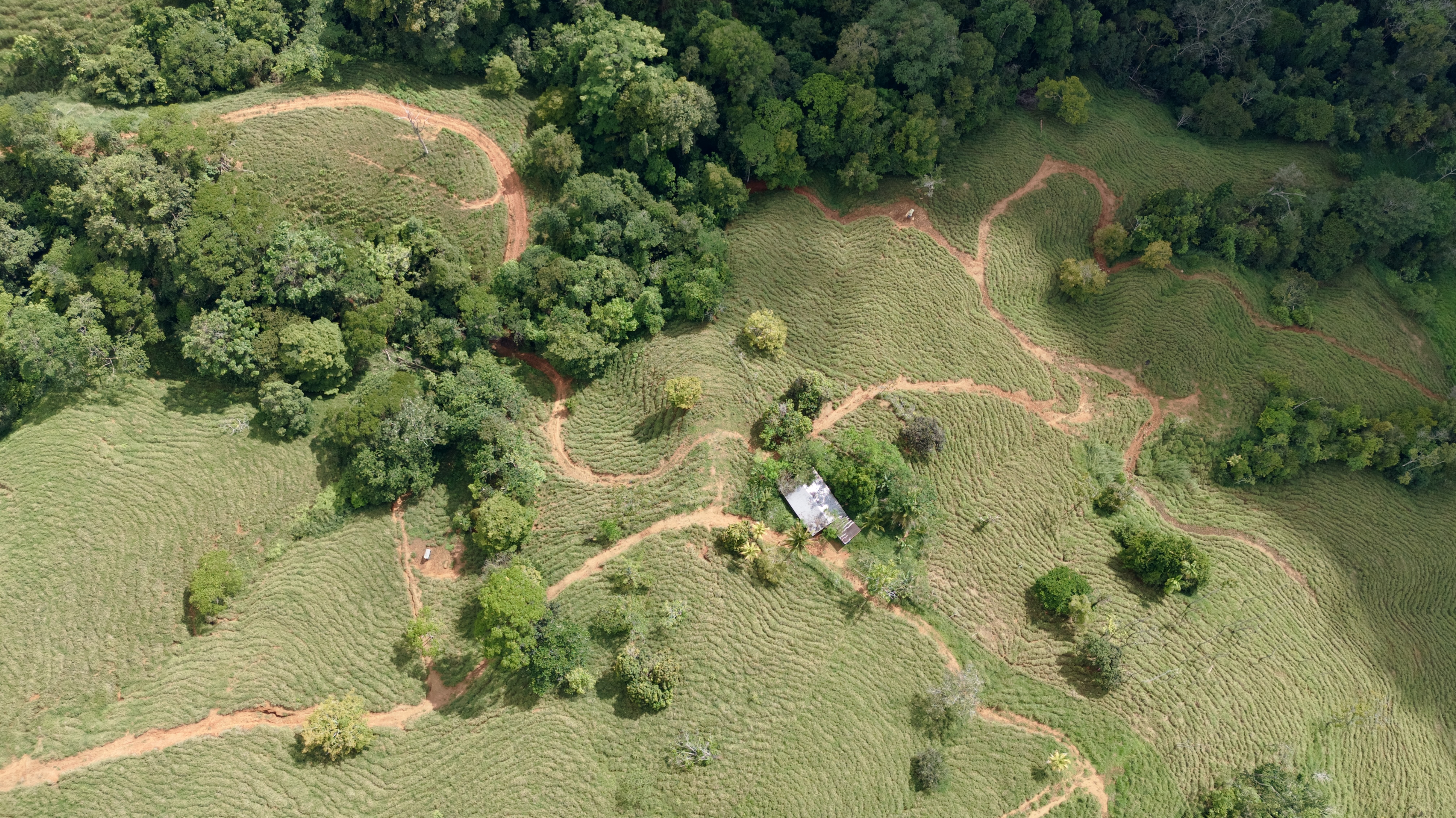 0 bed Land For Sale in Dominical, Puntarenas - thumb 7