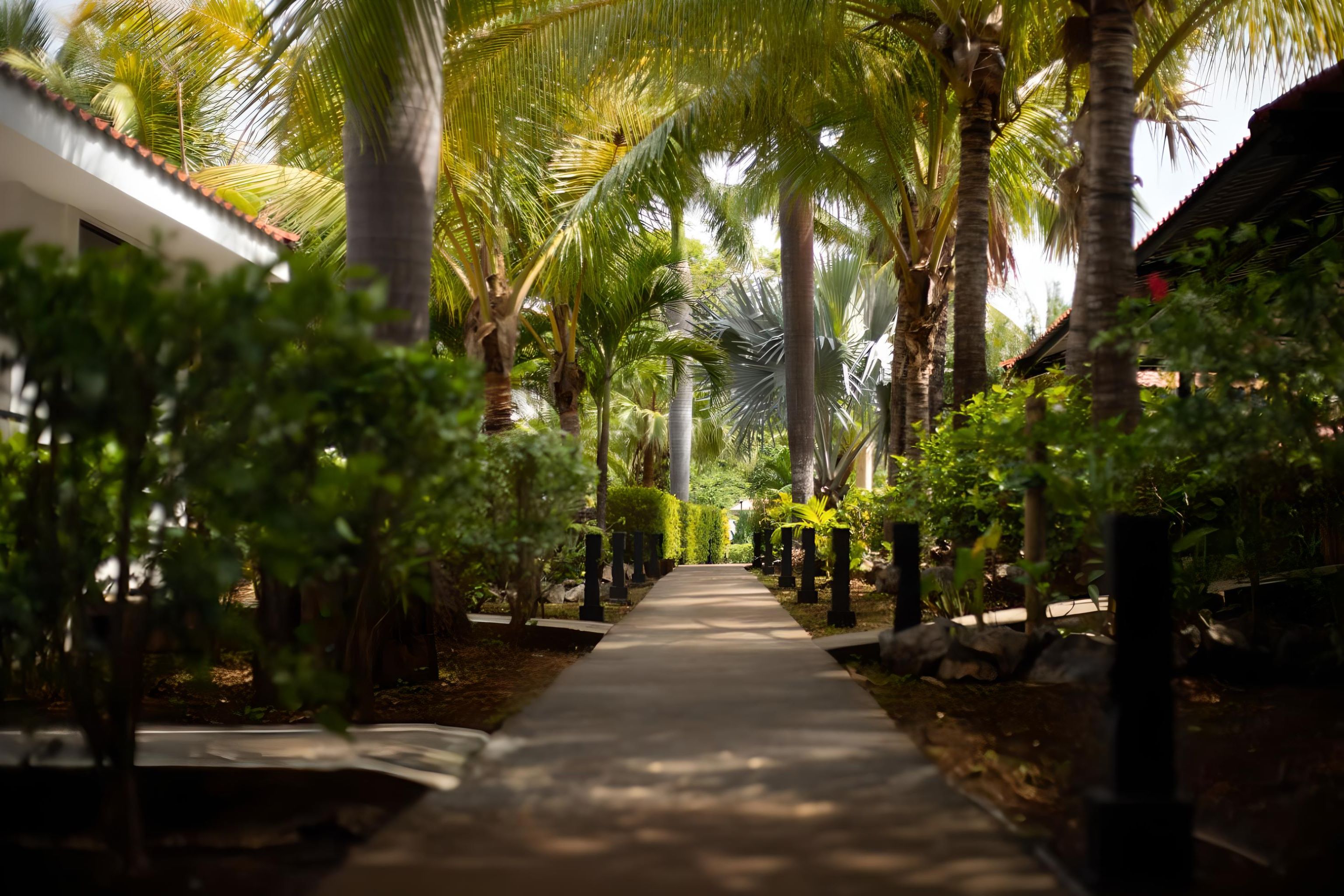 16 bed Hotel / Leisure For Sale in Avellanas, Guanacaste - thumb 14