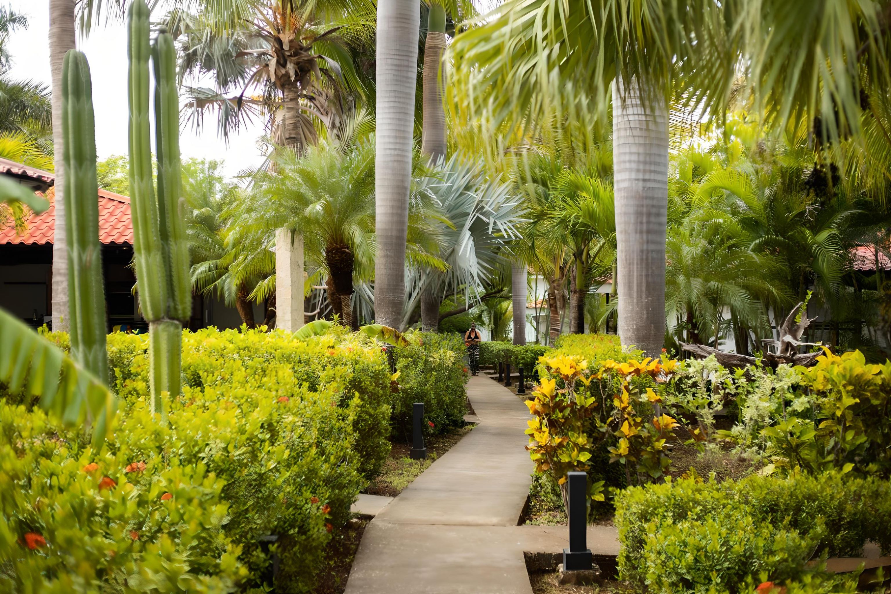 16 bed Hotel / Leisure For Sale in Avellanas, Guanacaste - thumb 17