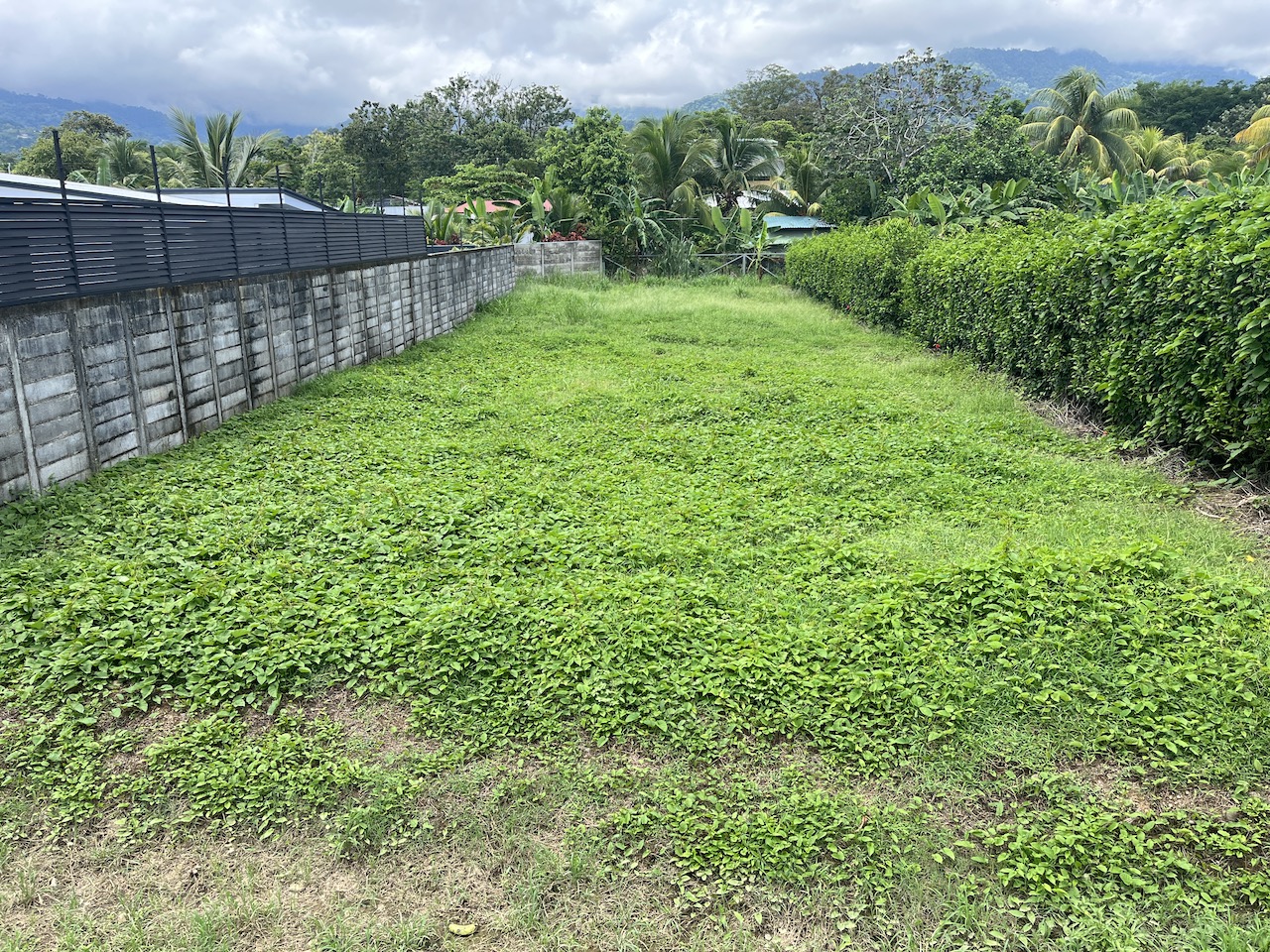 0 bed Land For Sale in Uvita, Puntarenas - thumb 1