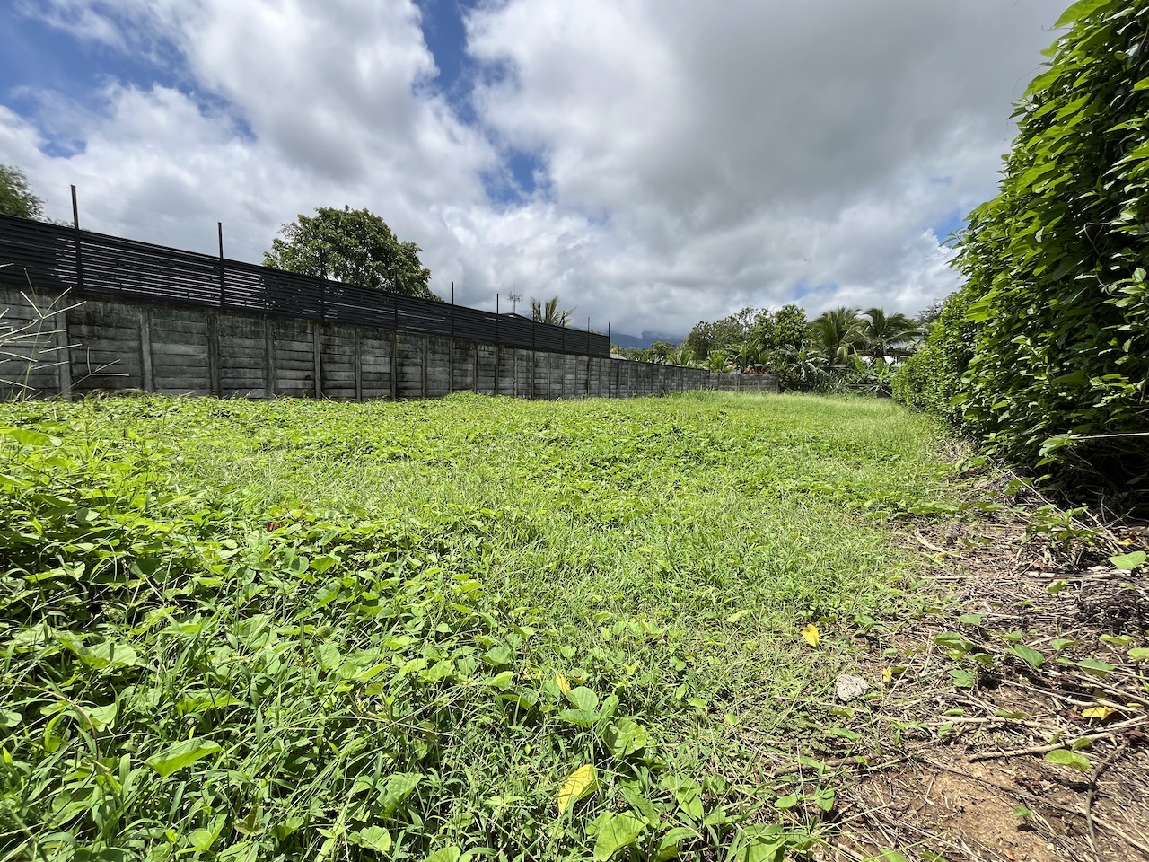 0 bed Land For Sale in Uvita, Puntarenas - thumb 16