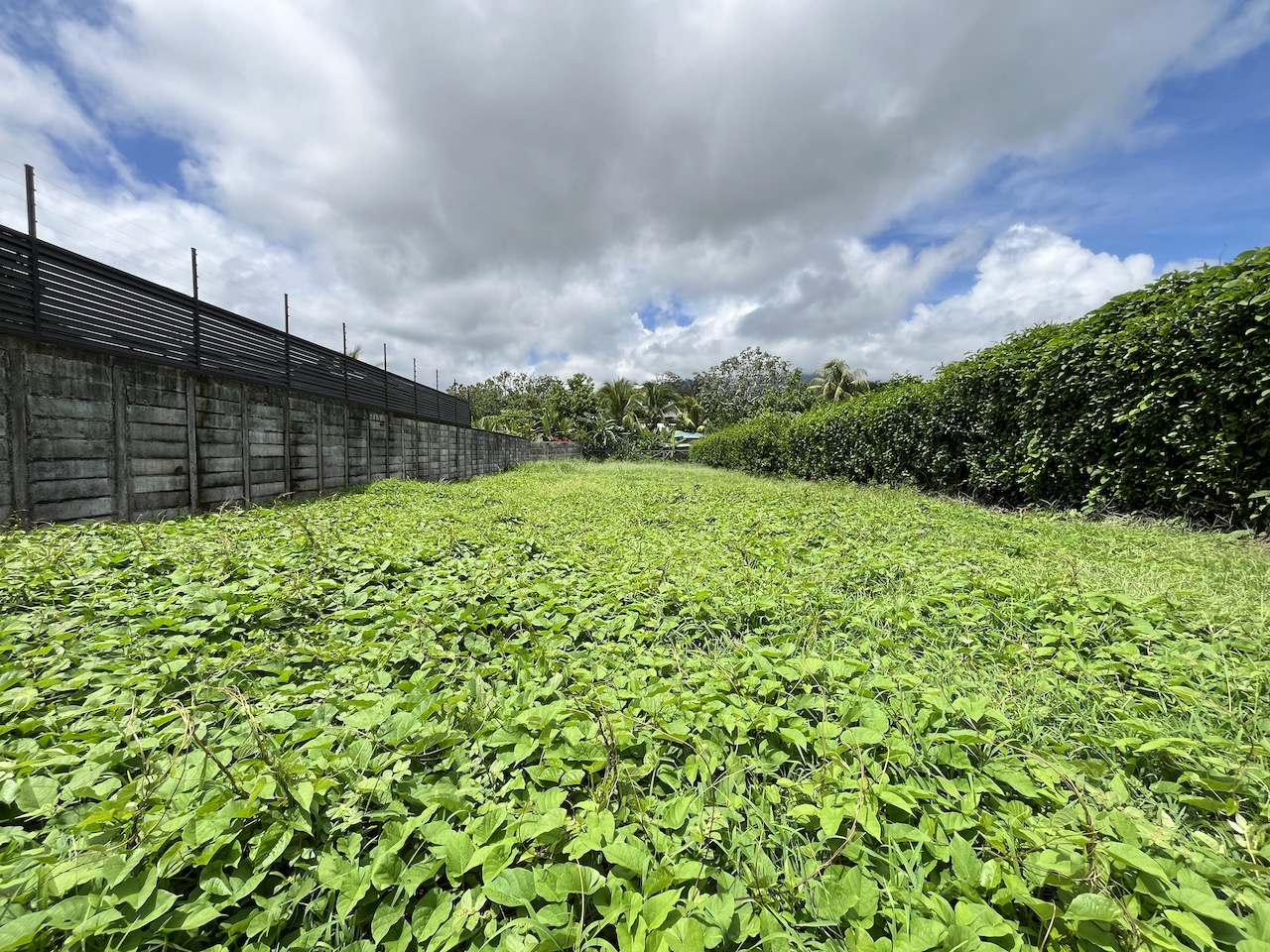 0 bed Land For Sale in Uvita, Puntarenas - thumb 15