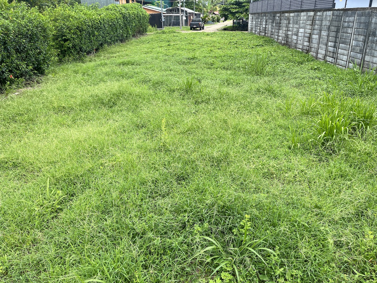 0 bed Land For Sale in Uvita, Puntarenas - thumb 14