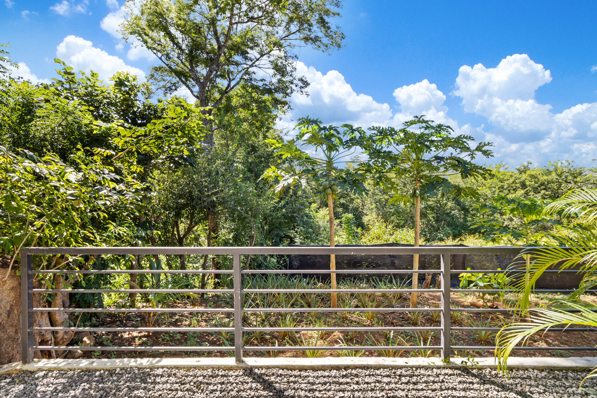 5 bed Single Family Homes For Sale in Matapalo, Guanacaste - thumb 20