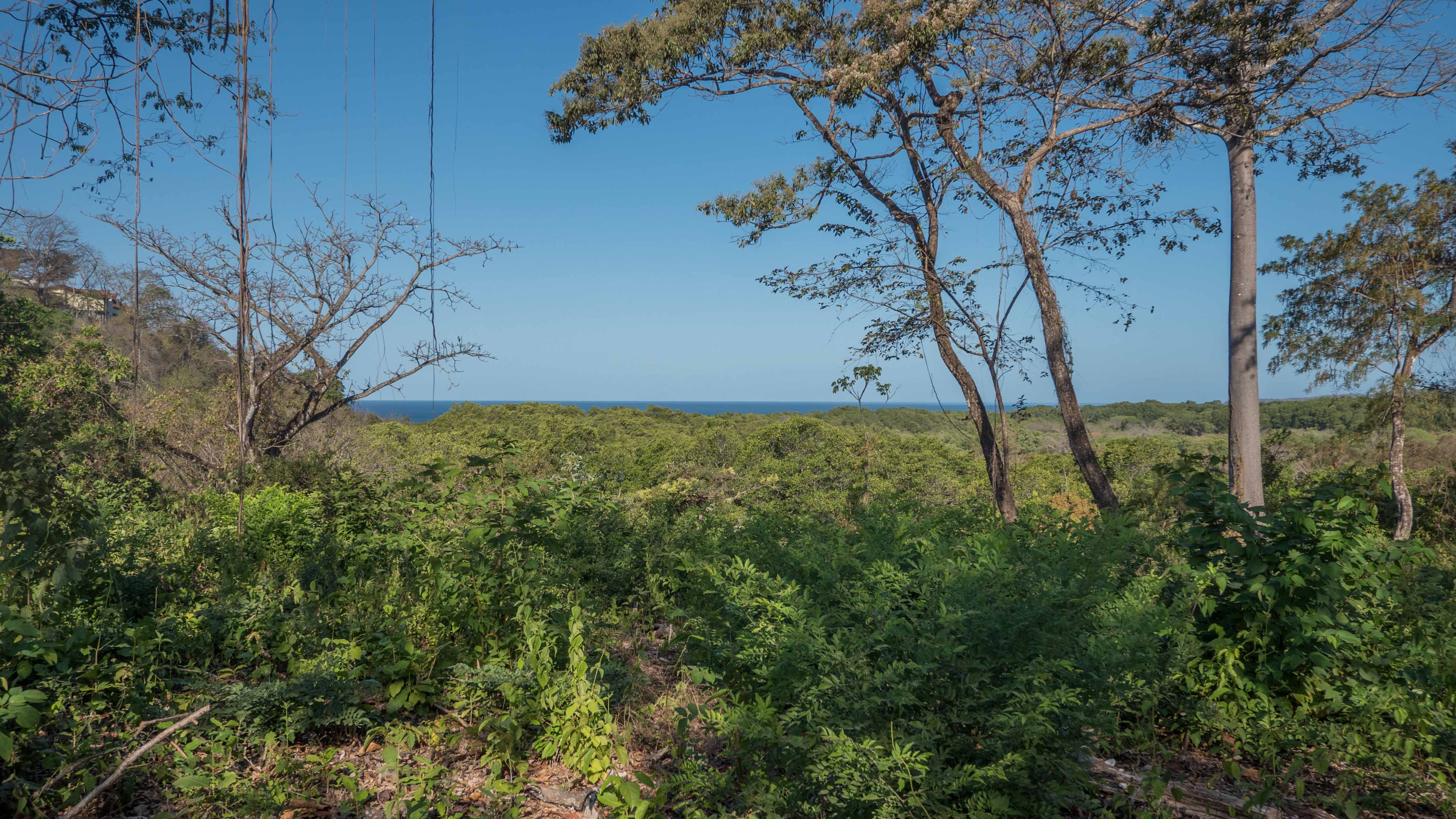 0 bed Land For Sale in Nosara, Guanacaste - thumb 7