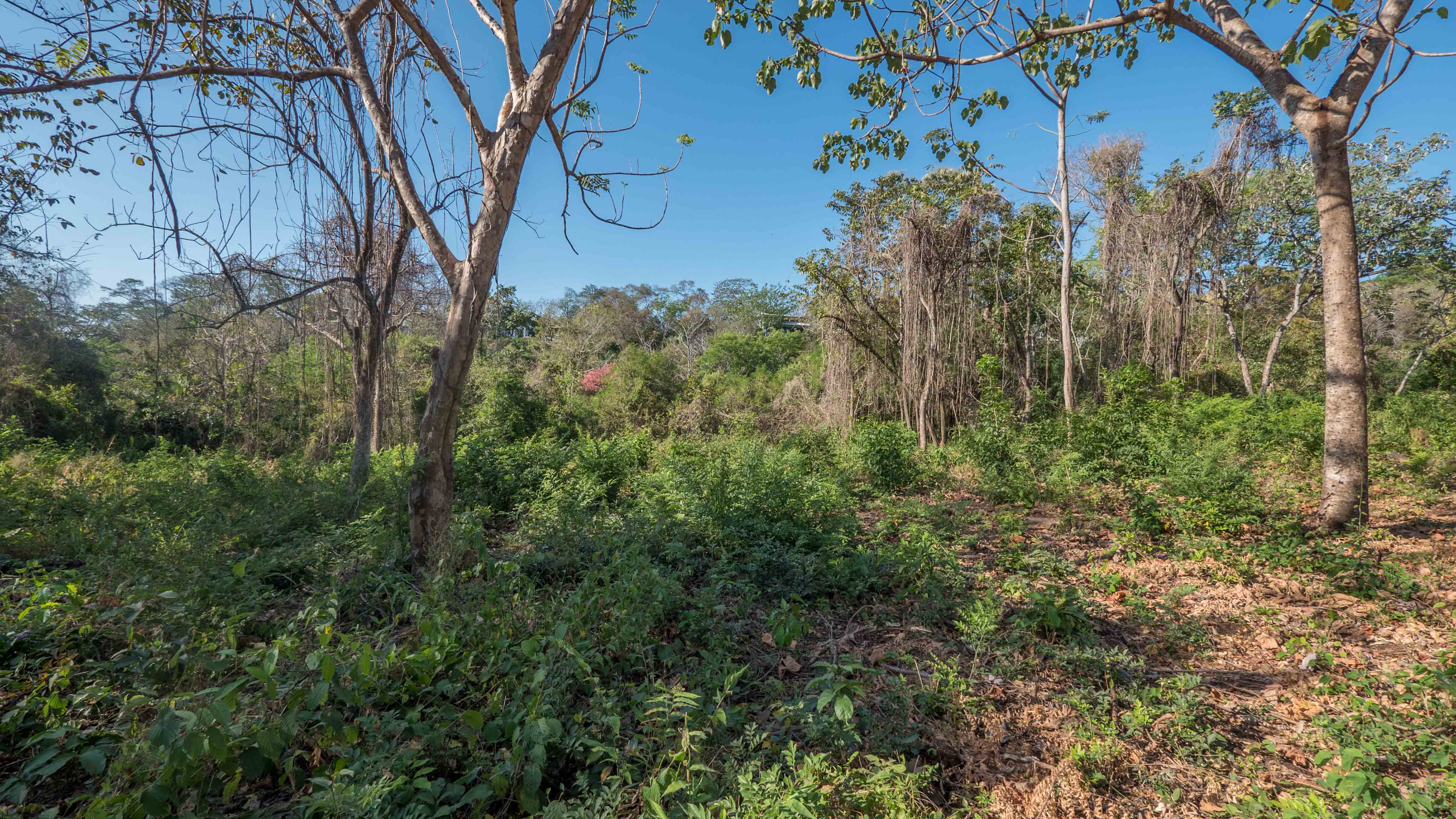 0 bed Land For Sale in Nosara, Guanacaste - thumb 8