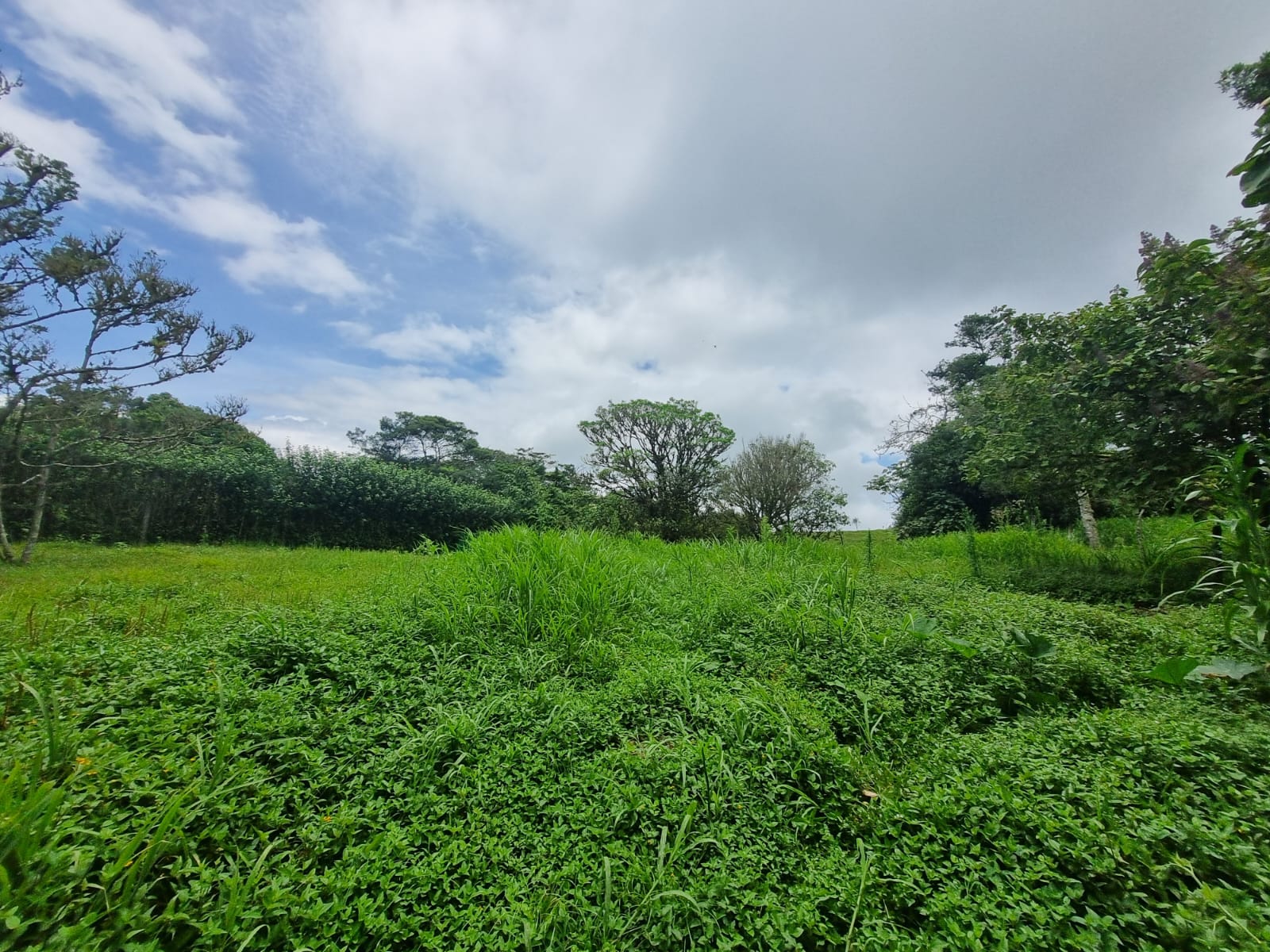 3 bed Single Family Homes For Sale in Coronado, San Jose - thumb 23