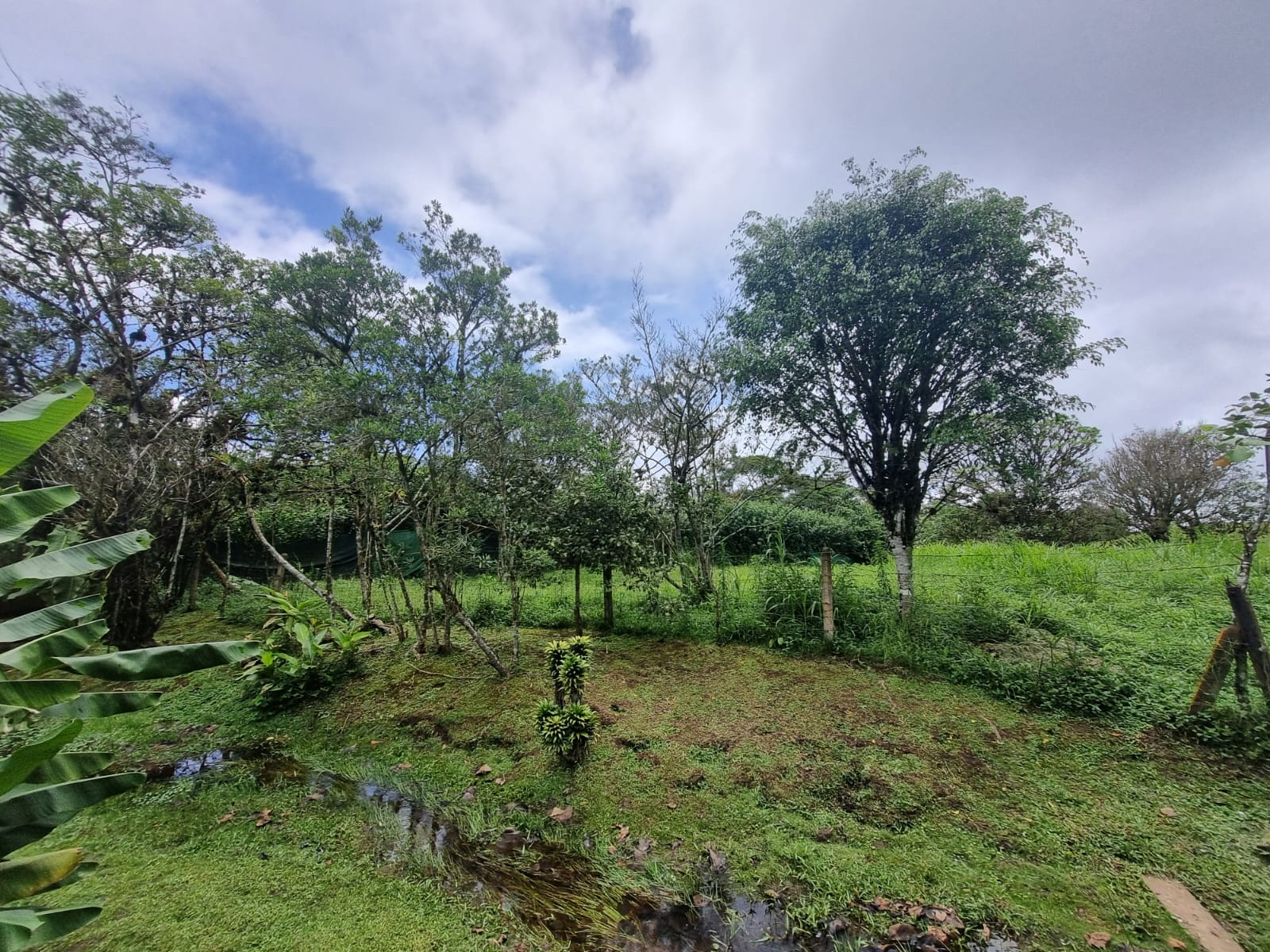 3 bed Single Family Homes For Sale in Coronado, San Jose - thumb 24