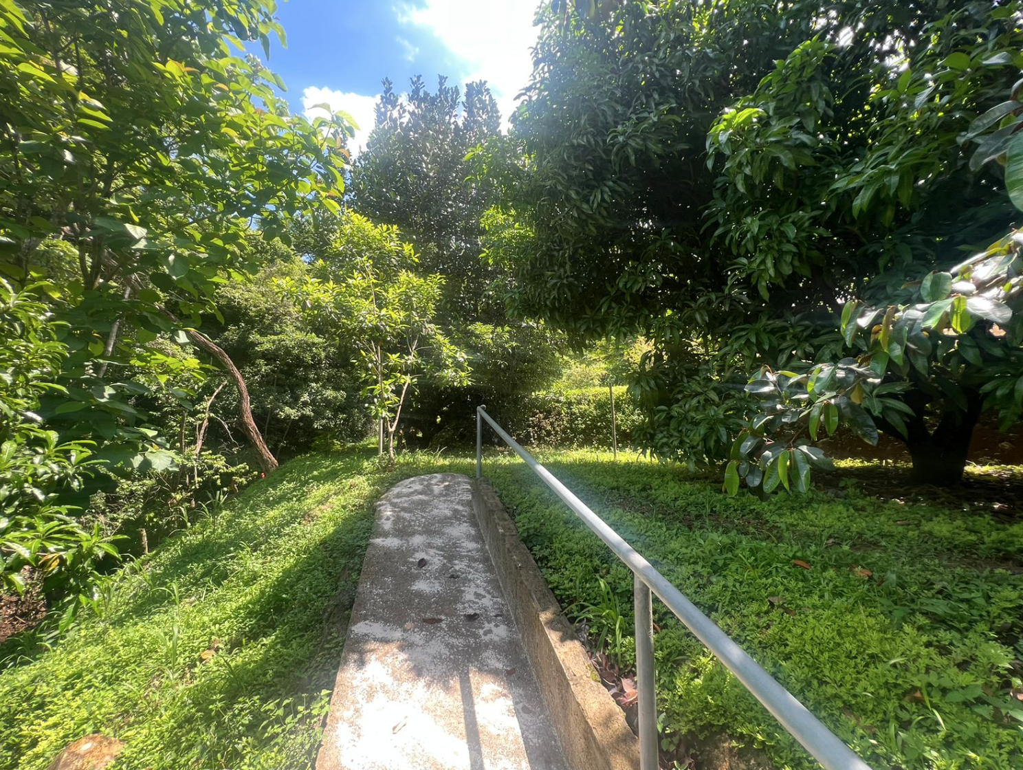 4 bed Single Family Homes For Sale in Orotina, Alajuela - thumb 15