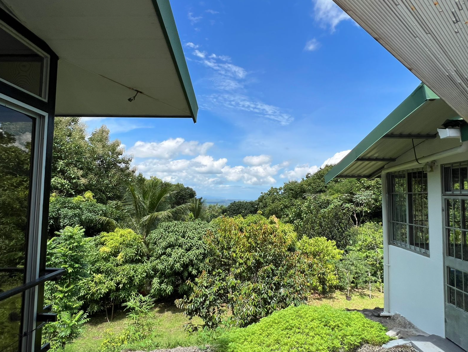 4 bed Single Family Homes For Sale in Orotina, Alajuela - thumb 27