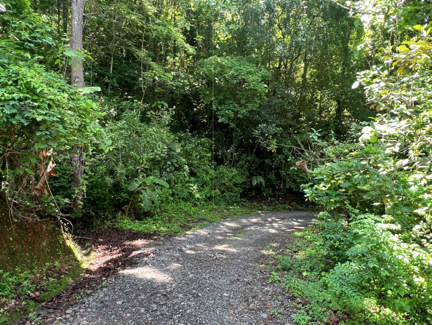 4 bed Single Family Homes For Sale in Orotina, Alajuela - thumb 20