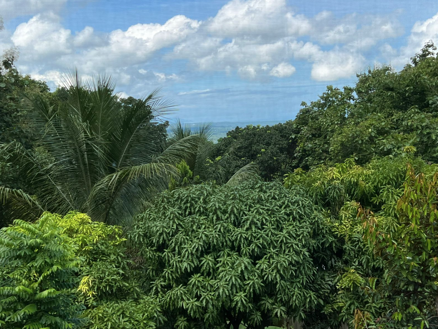 4 bed Single Family Homes For Sale in Orotina, Alajuela - thumb 22