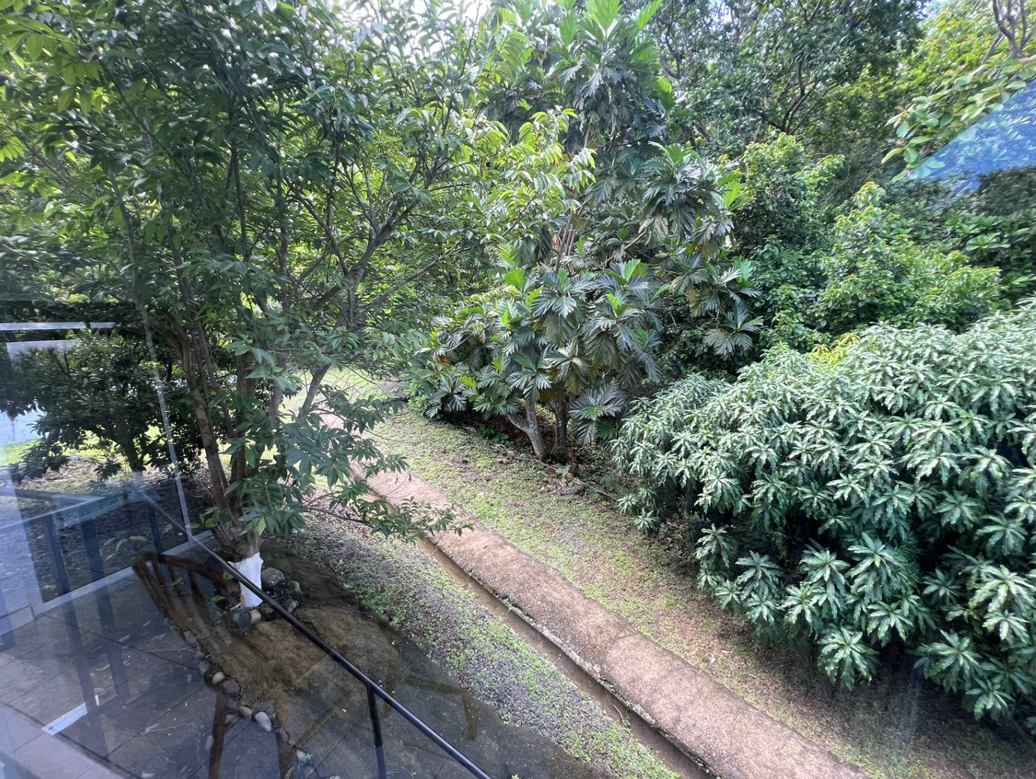 4 bed Single Family Homes For Sale in Orotina, Alajuela - thumb 21