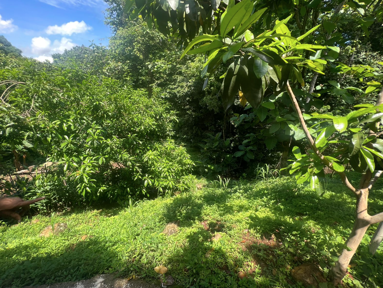 4 bed Single Family Homes For Sale in Orotina, Alajuela - thumb 25