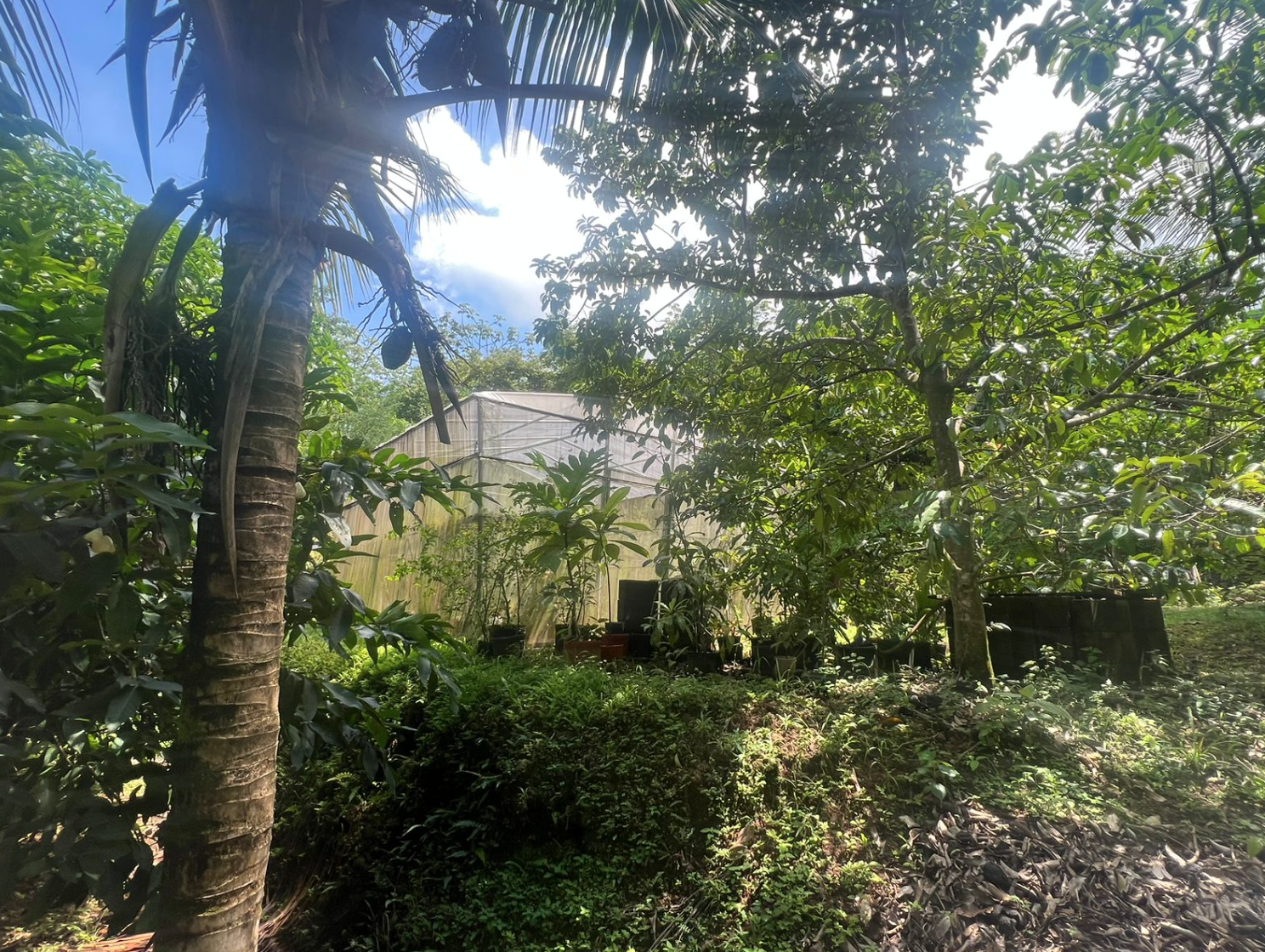 4 bed Single Family Homes For Sale in Orotina, Alajuela - thumb 24