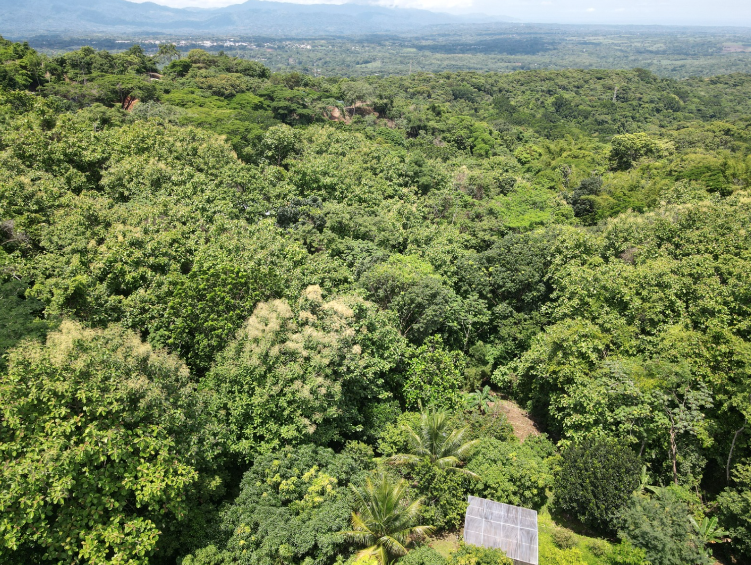 4 bed Single Family Homes For Sale in Orotina, Alajuela - thumb 29