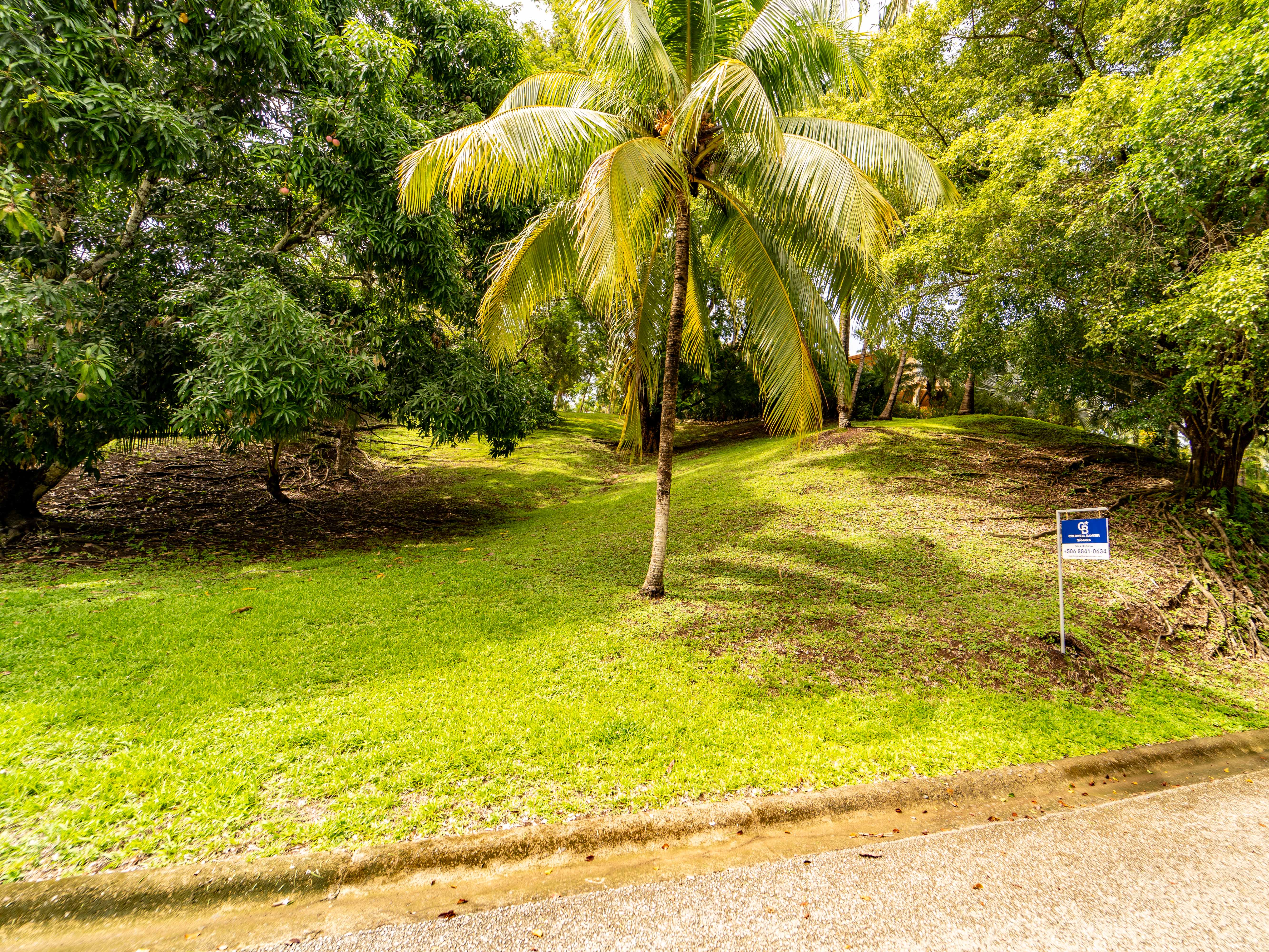 0 bed Land For Sale in Samara, Guanacaste - thumb 5