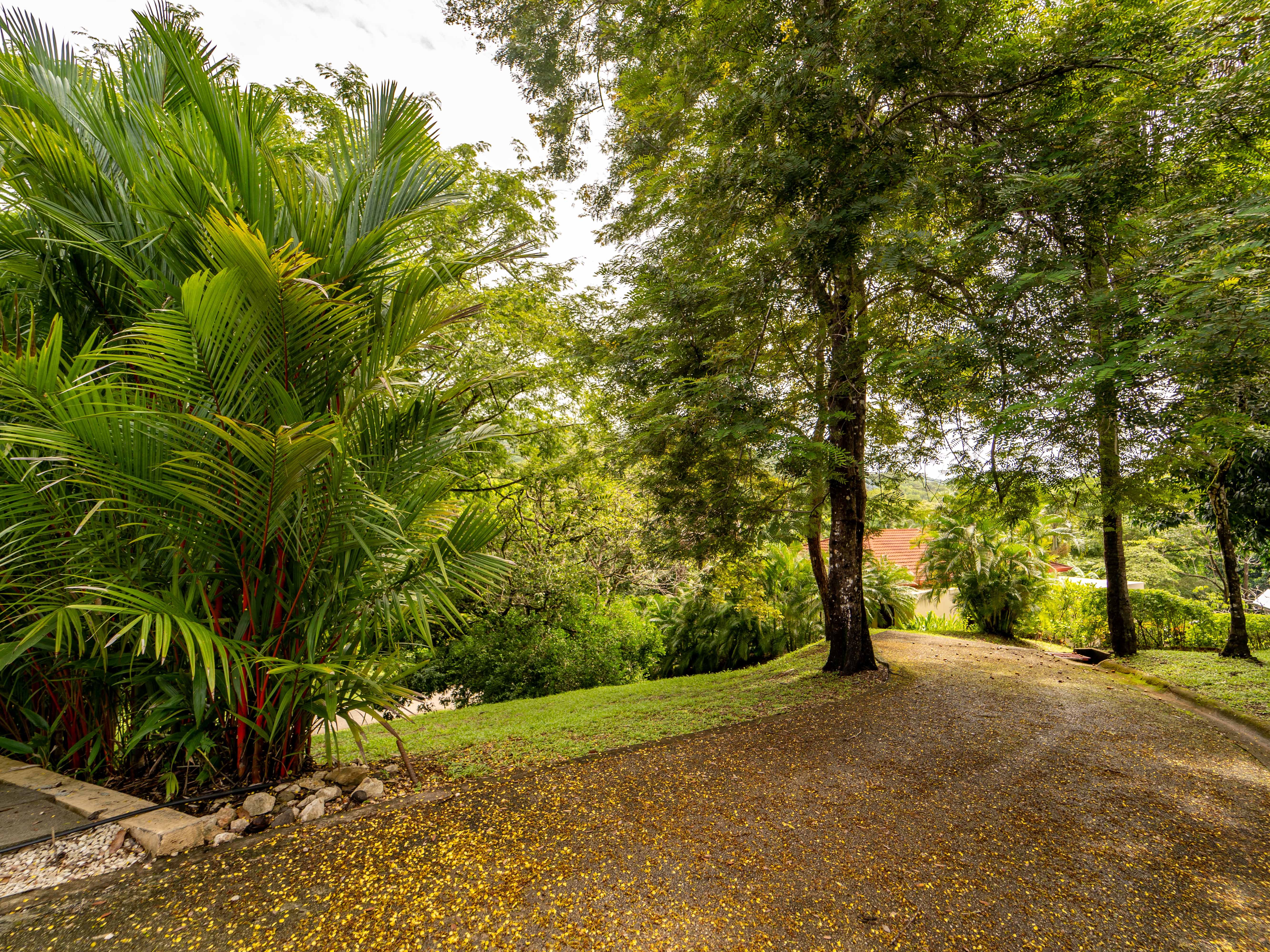 0 bed Land For Sale in Samara, Guanacaste - thumb 8