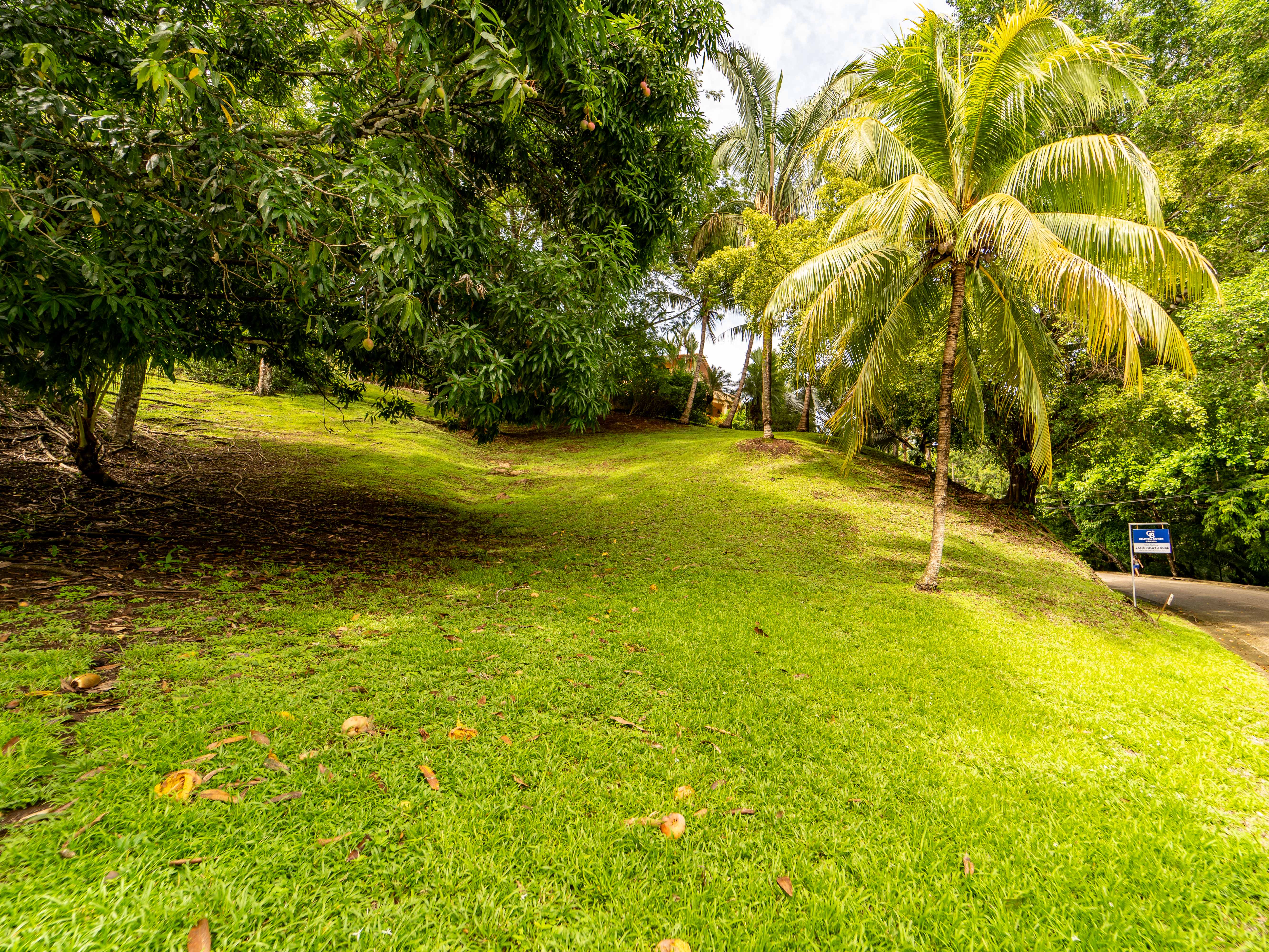 0 bed Land For Sale in Samara, Guanacaste - thumb 7