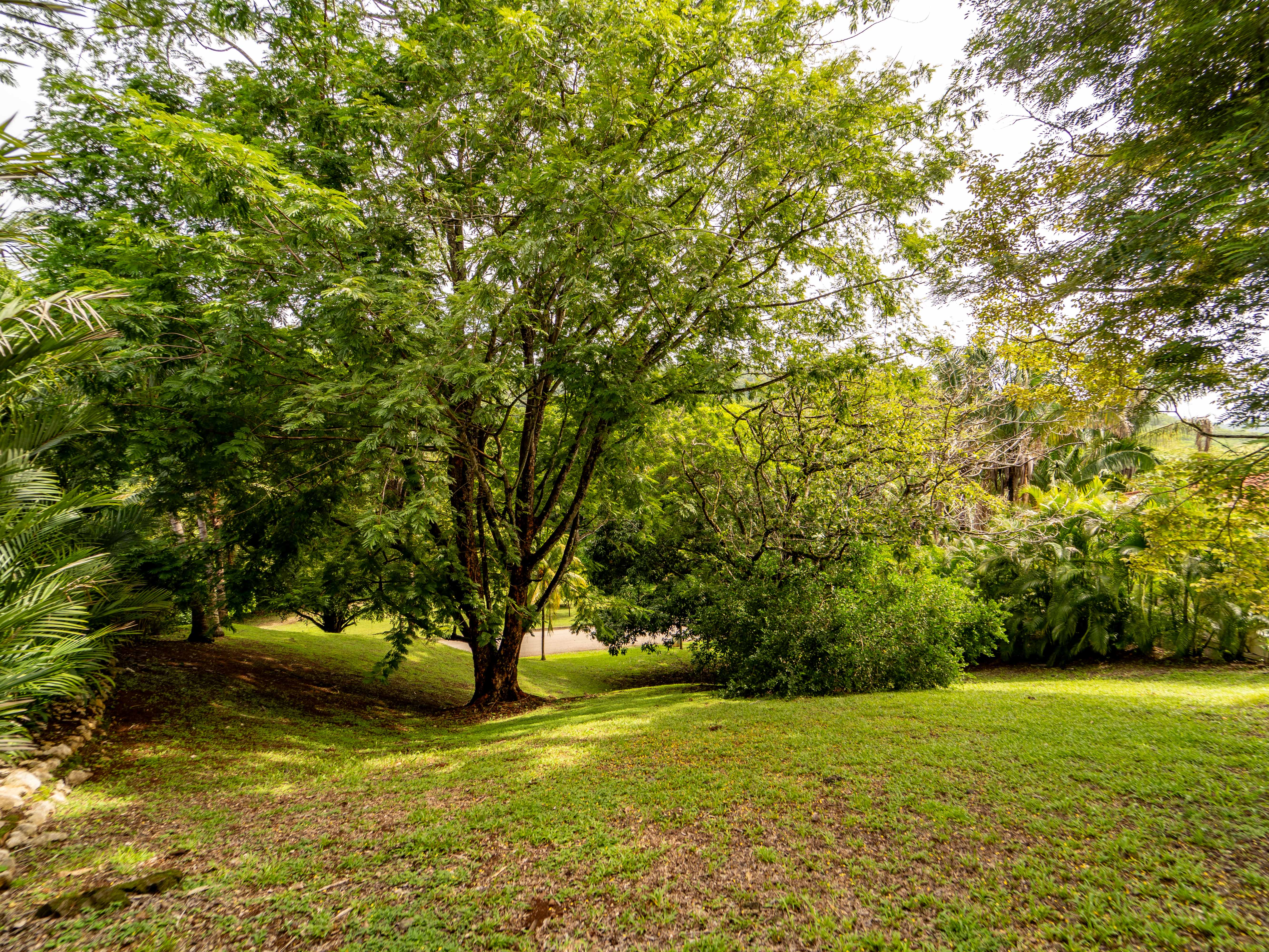 0 bed Land For Sale in Samara, Guanacaste - thumb 9