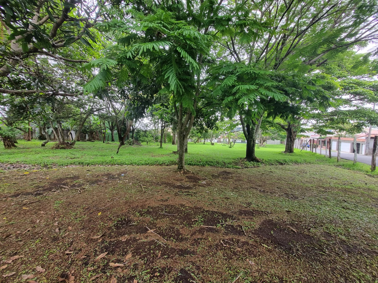 8 bed Commercial For Sale in San Rafael, San Jose - thumb 12