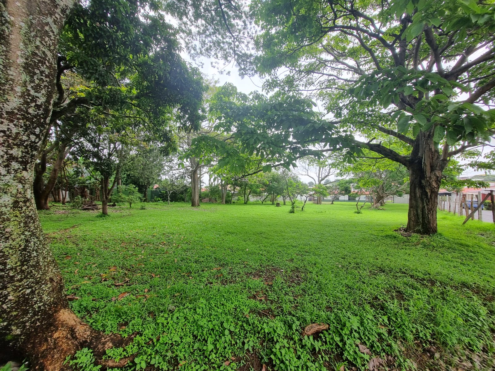 8 bed Commercial For Sale in San Rafael, San Jose - thumb 13