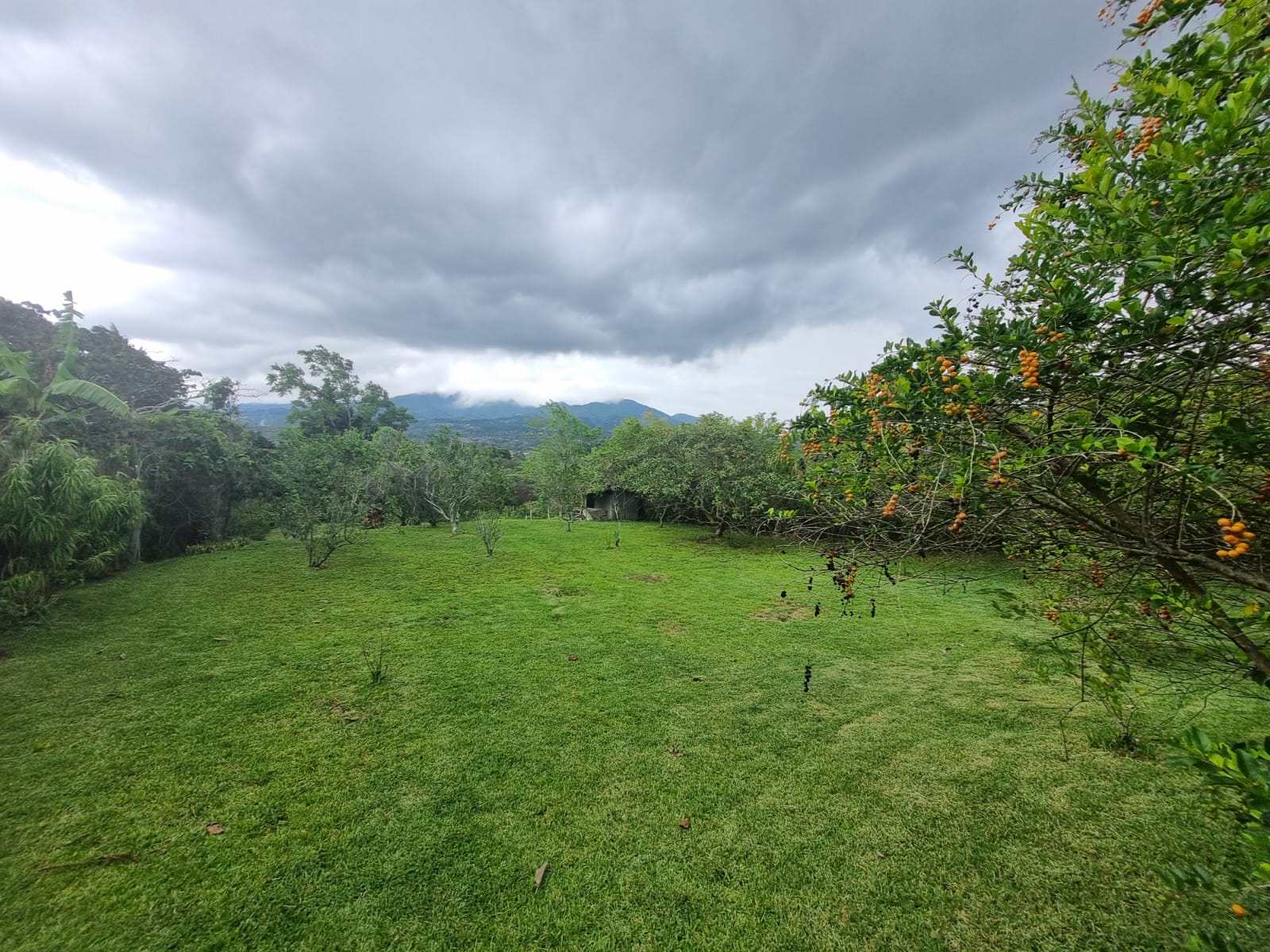 3 bed Single Family Homes For Sale in Santo Domingo, Heredia - thumb 27