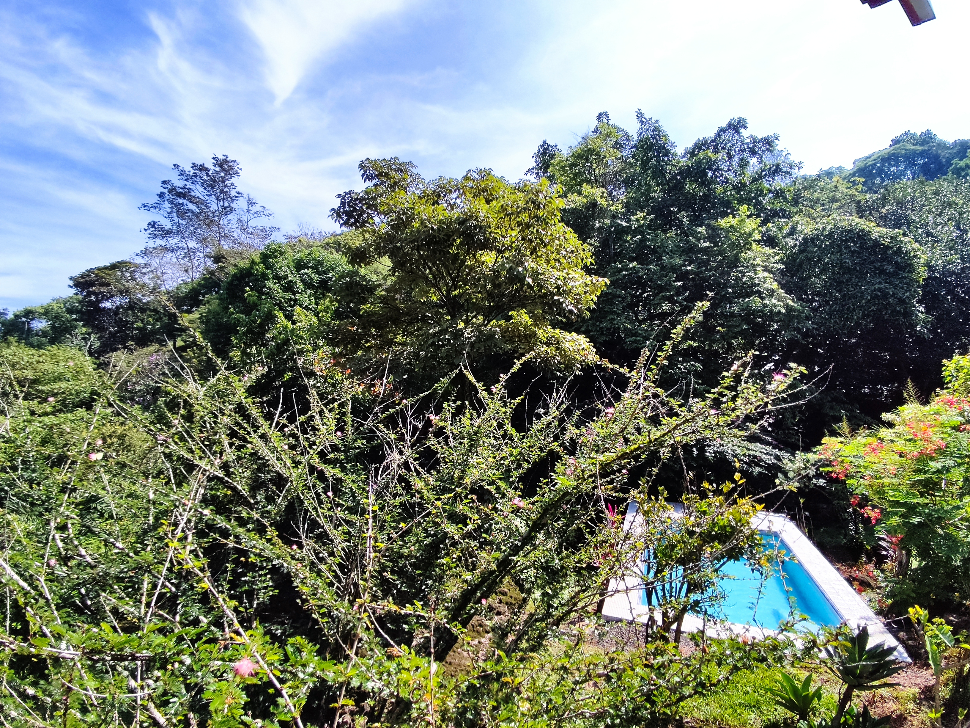 2 bed Single Family Homes For Sale in Atenas, Alajuela - thumb 28