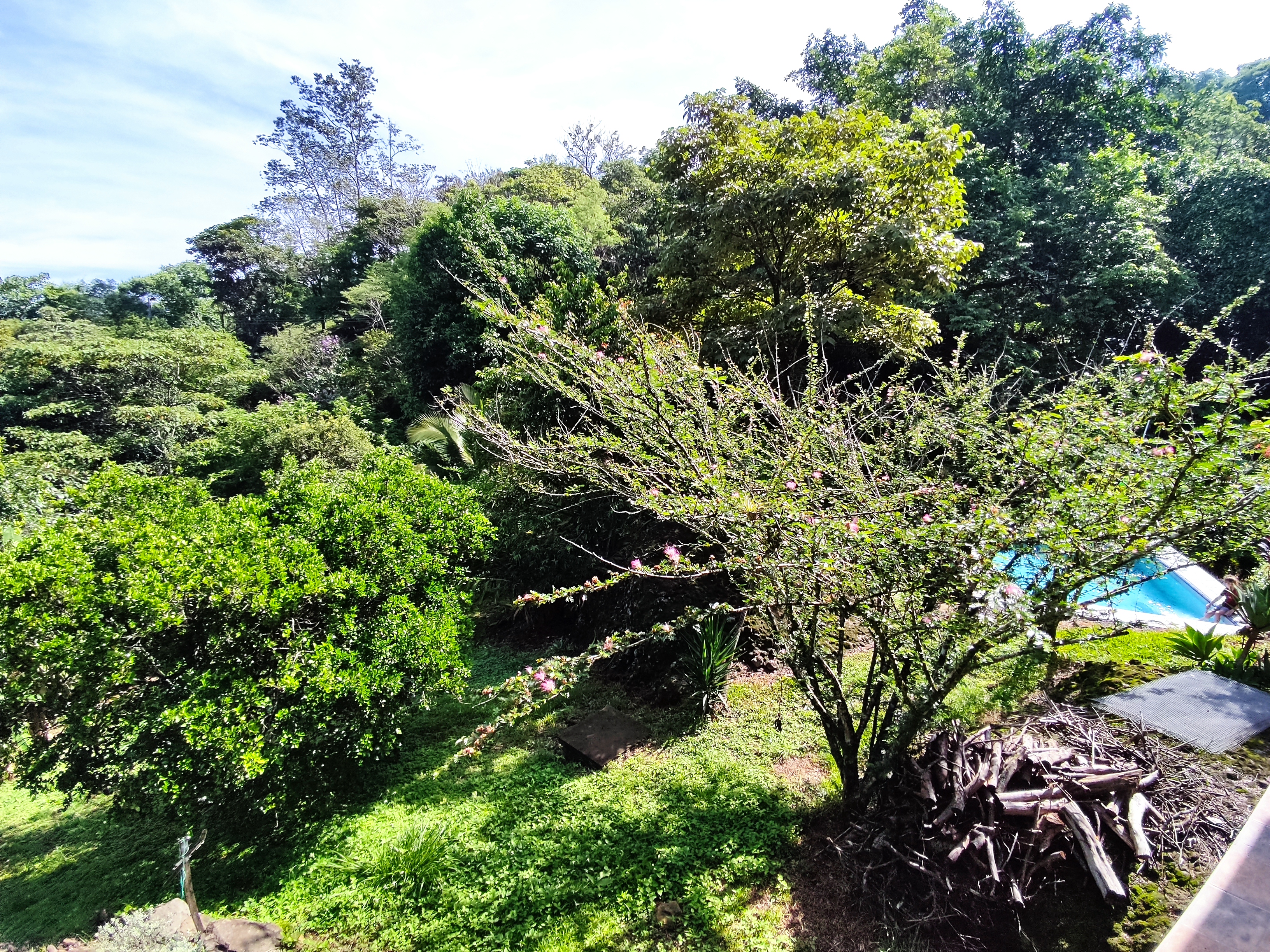 2 bed Single Family Homes For Sale in Atenas, Alajuela - thumb 24