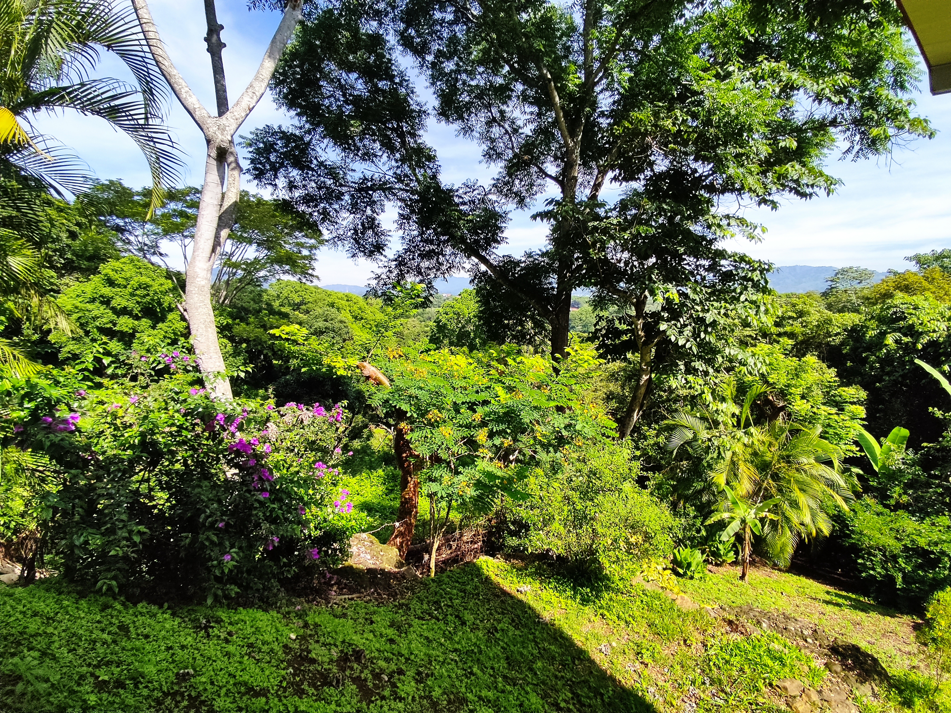 2 bed Single Family Homes For Sale in Atenas, Alajuela - thumb 26