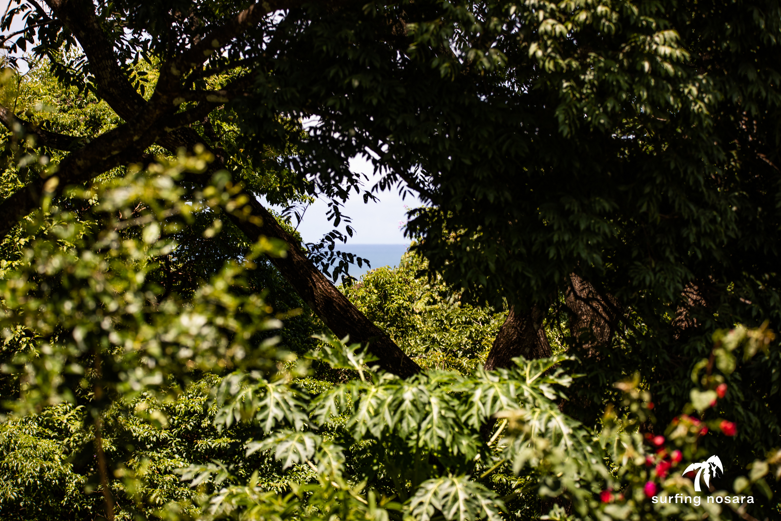 4 bed Single Family Homes For Rent in Nosara, Guanacaste - thumb 27