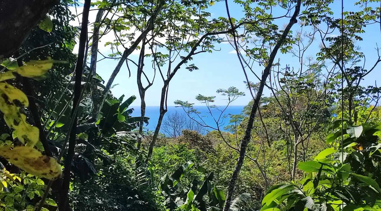 8 bed Hotel / Leisure For Sale in Santa Teresa, Puntarenas - thumb 24