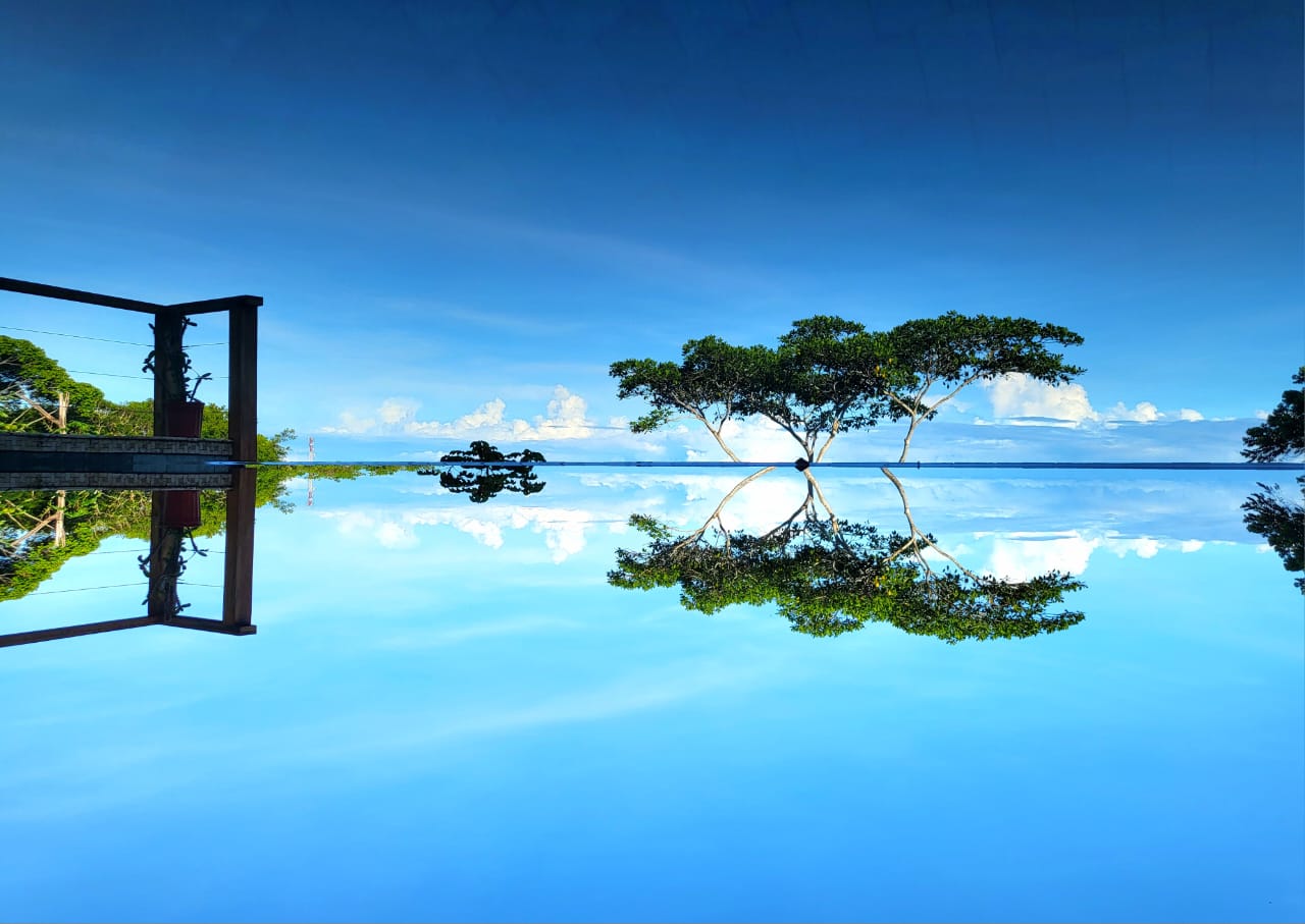 4 bed Single Family Homes For Sale in Dominical, Puntarenas - thumb 9