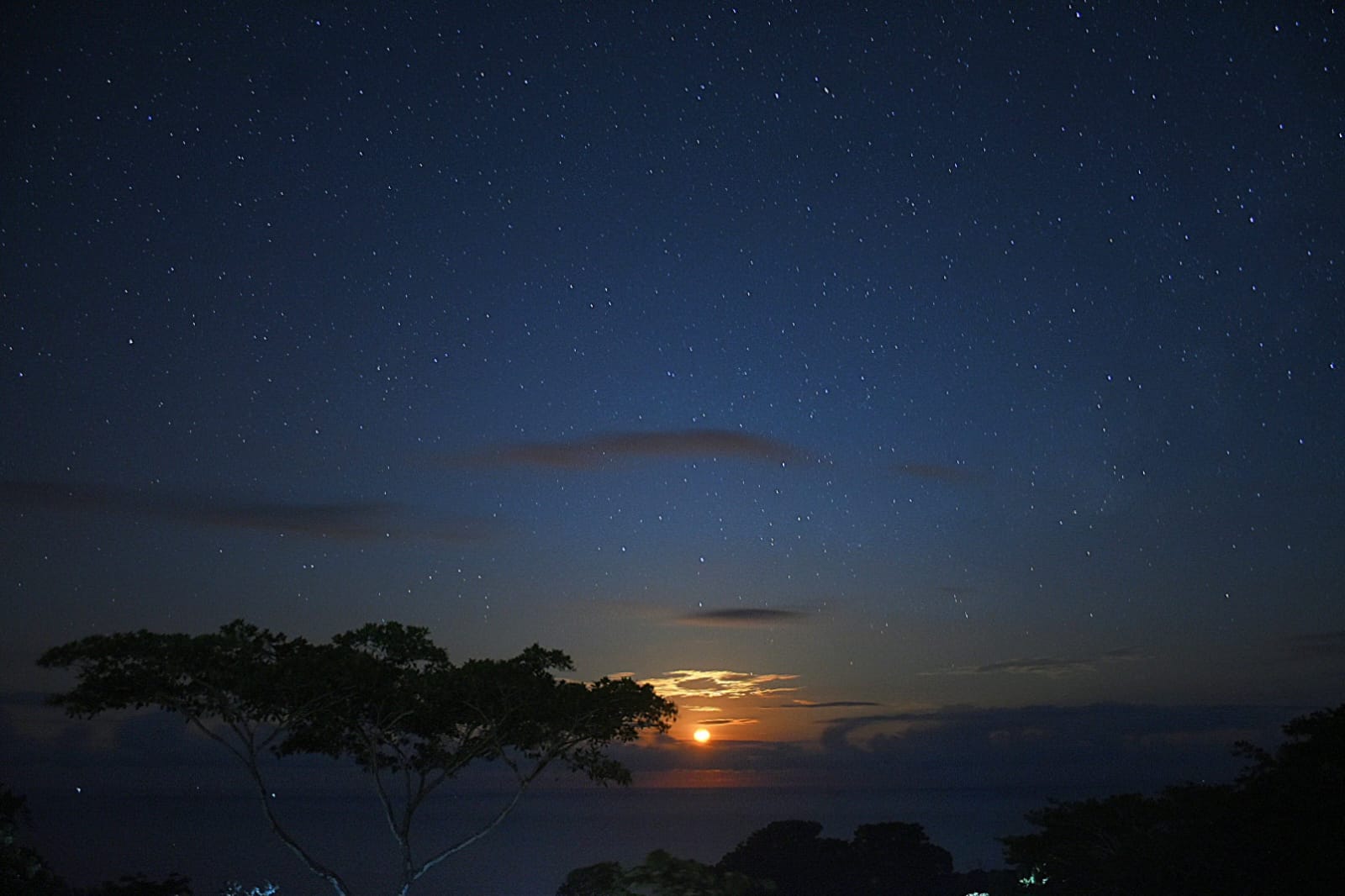 4 bed Single Family Homes For Sale in Dominical, Puntarenas - thumb 13