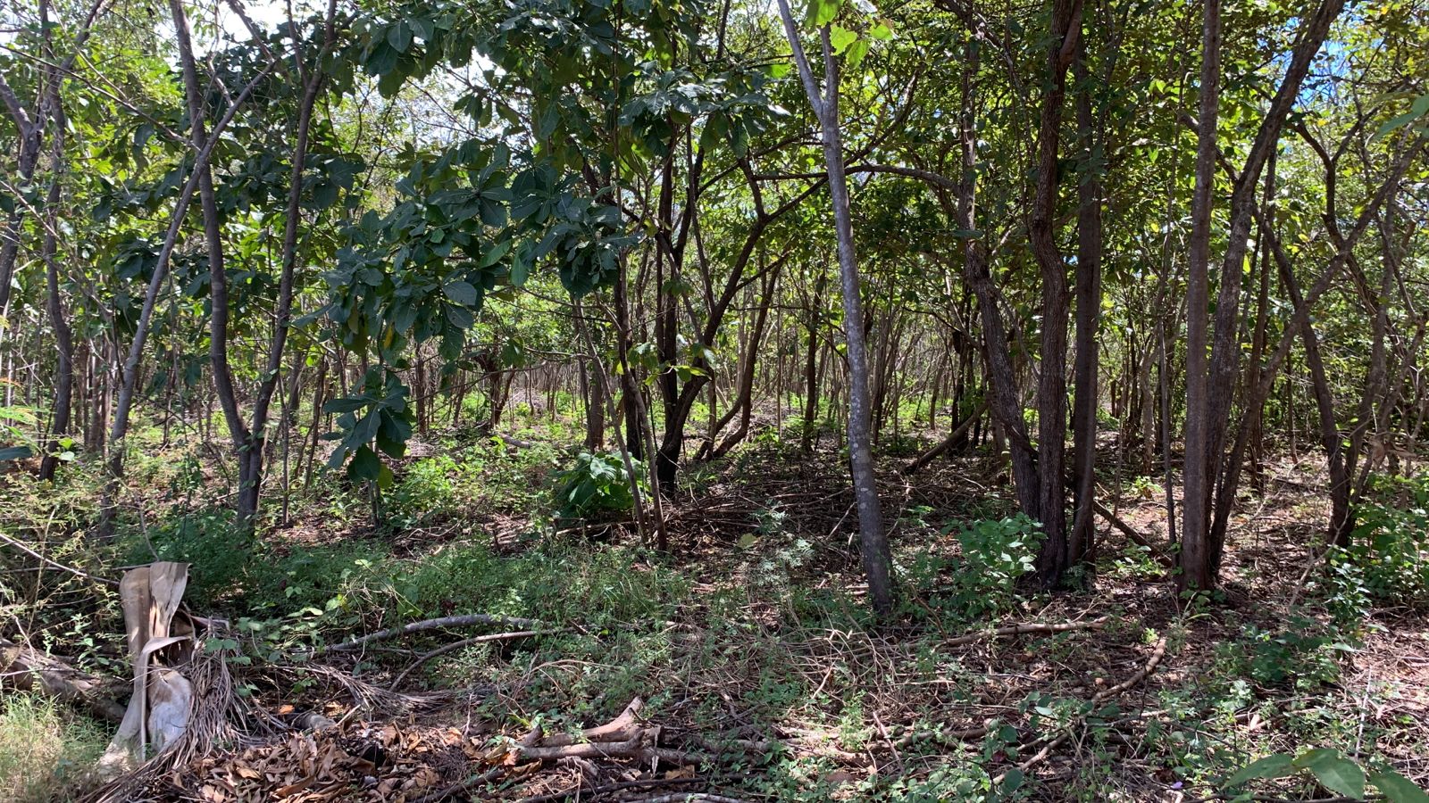 0 bed Land For Sale in Avellanas, Guanacaste - thumb 12