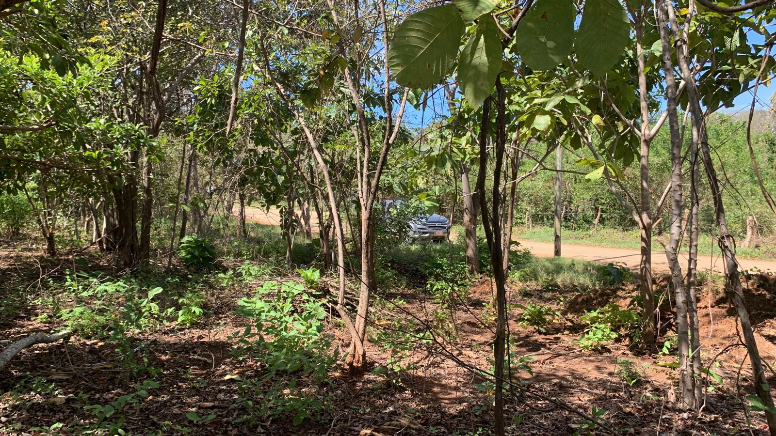 0 bed Land For Sale in Avellanas, Guanacaste - thumb 2