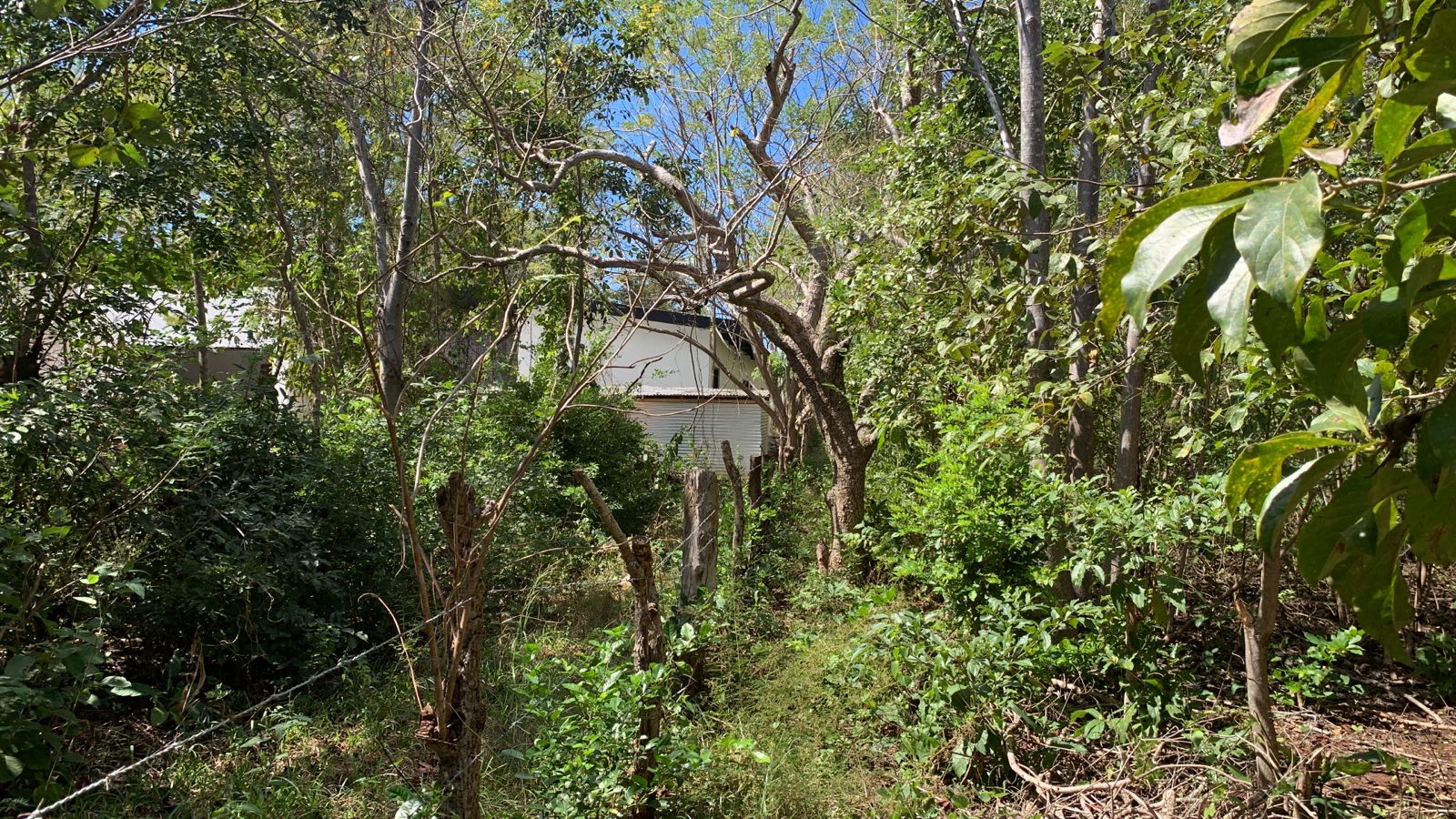 0 bed Land For Sale in Avellanas, Guanacaste - thumb 7